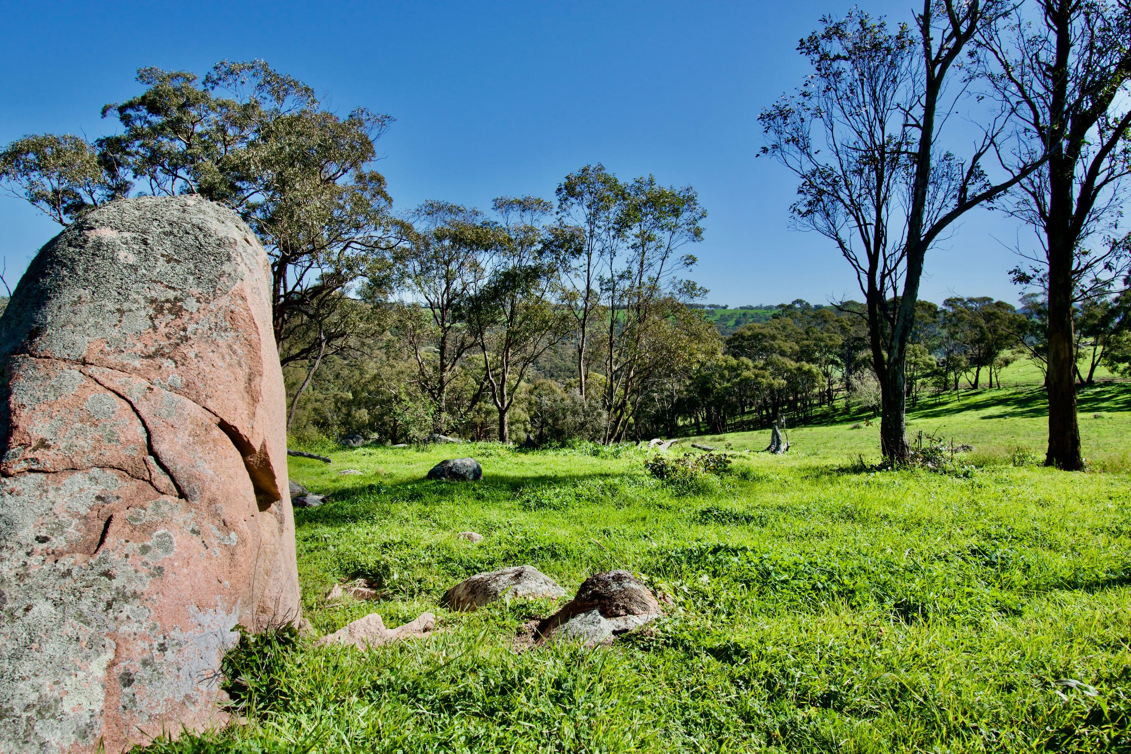 394 Mount Olive Road, Oberon NSW 2787, Oberon - Thumbnail 8