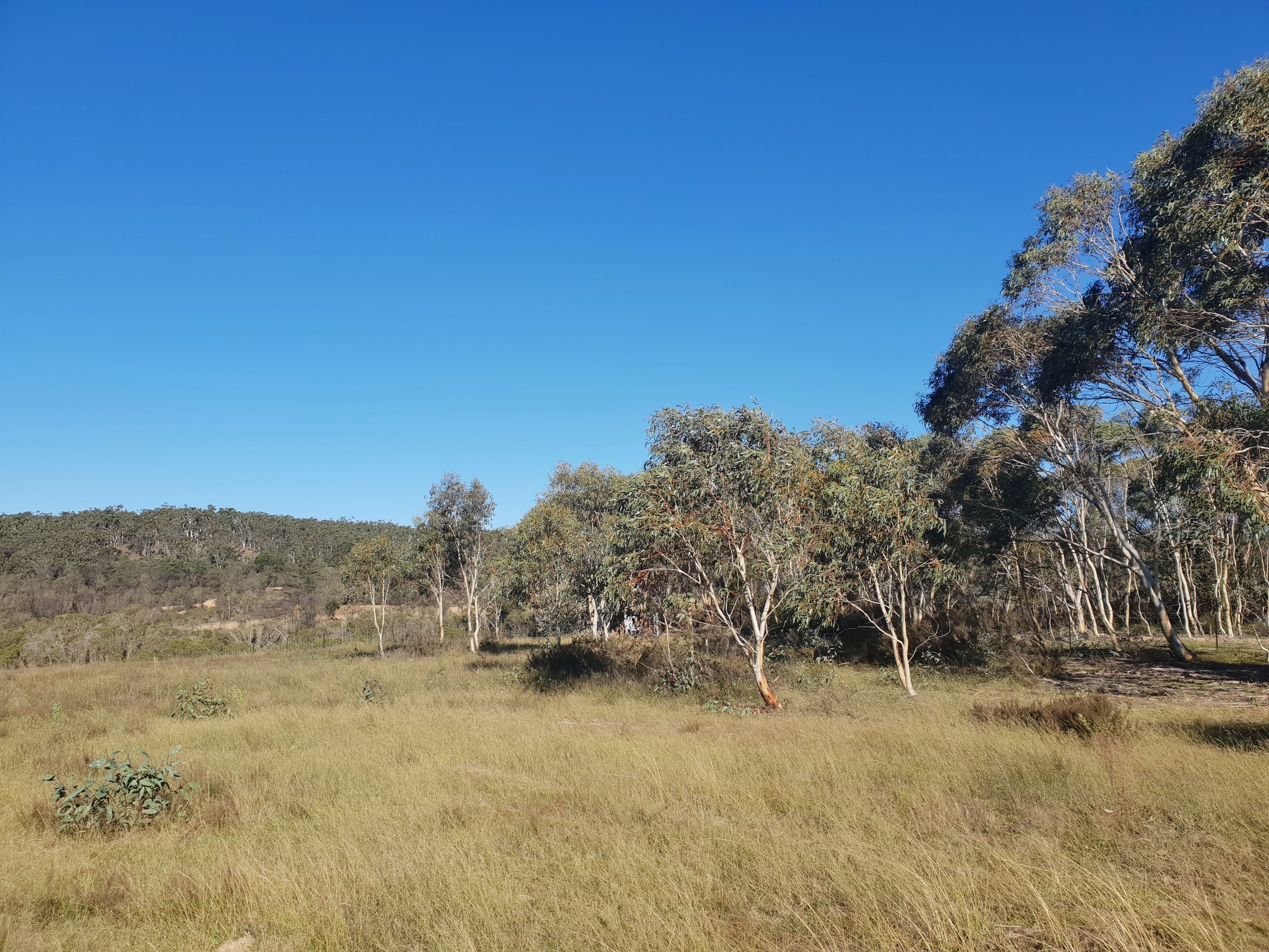 Lot 18 Nerriga Road, Braidwood NSW 2622, Braidwood - Thumbnail 3