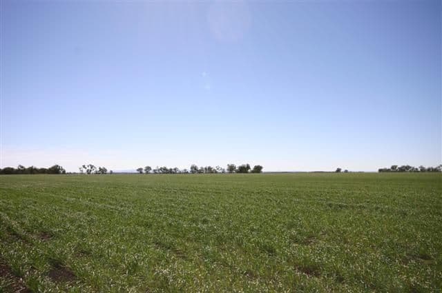 St Ruth QLD 4405, St Ruth - Thumbnail 5