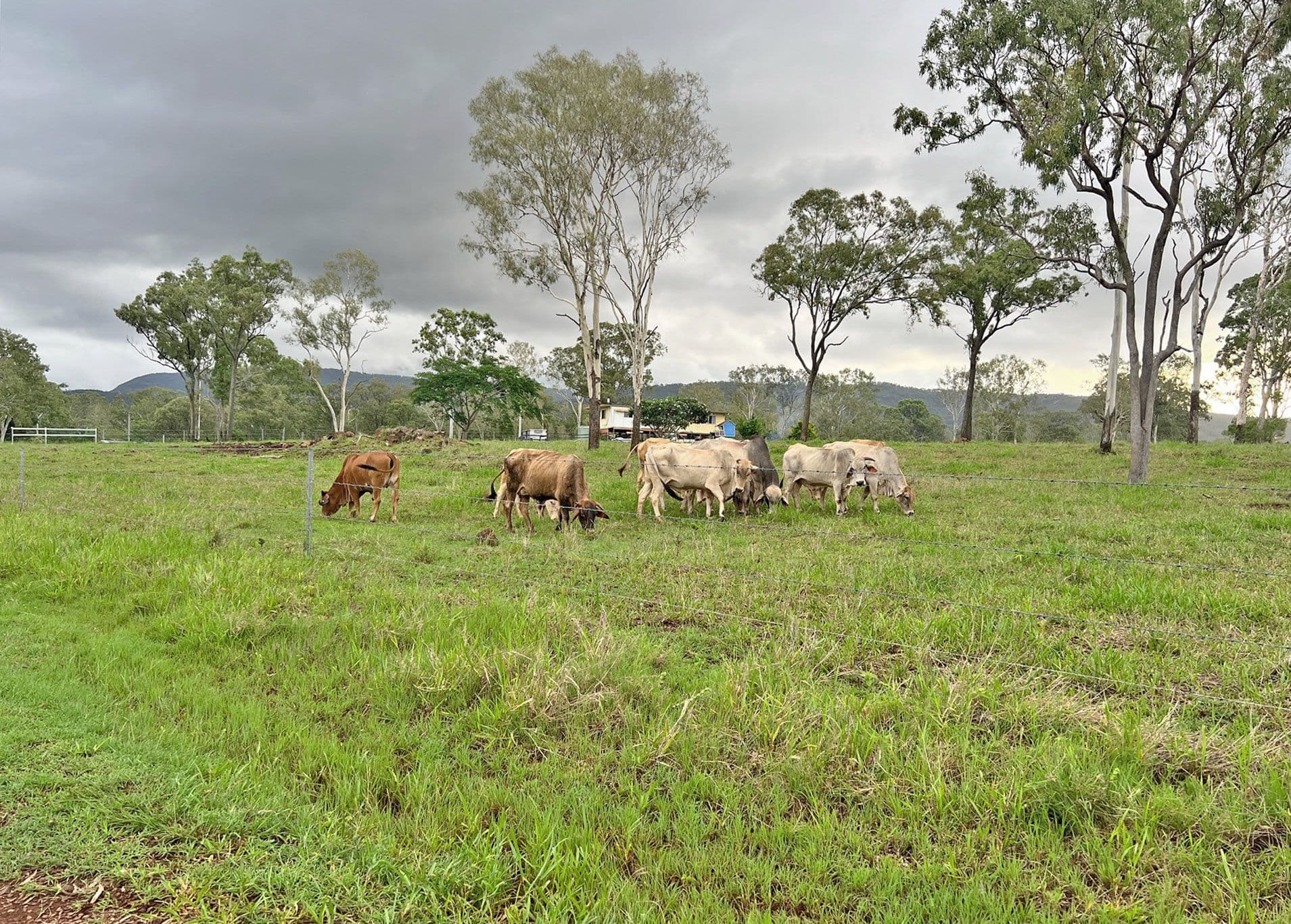 Walkamin QLD 4872, Walkamin - Thumbnail 3