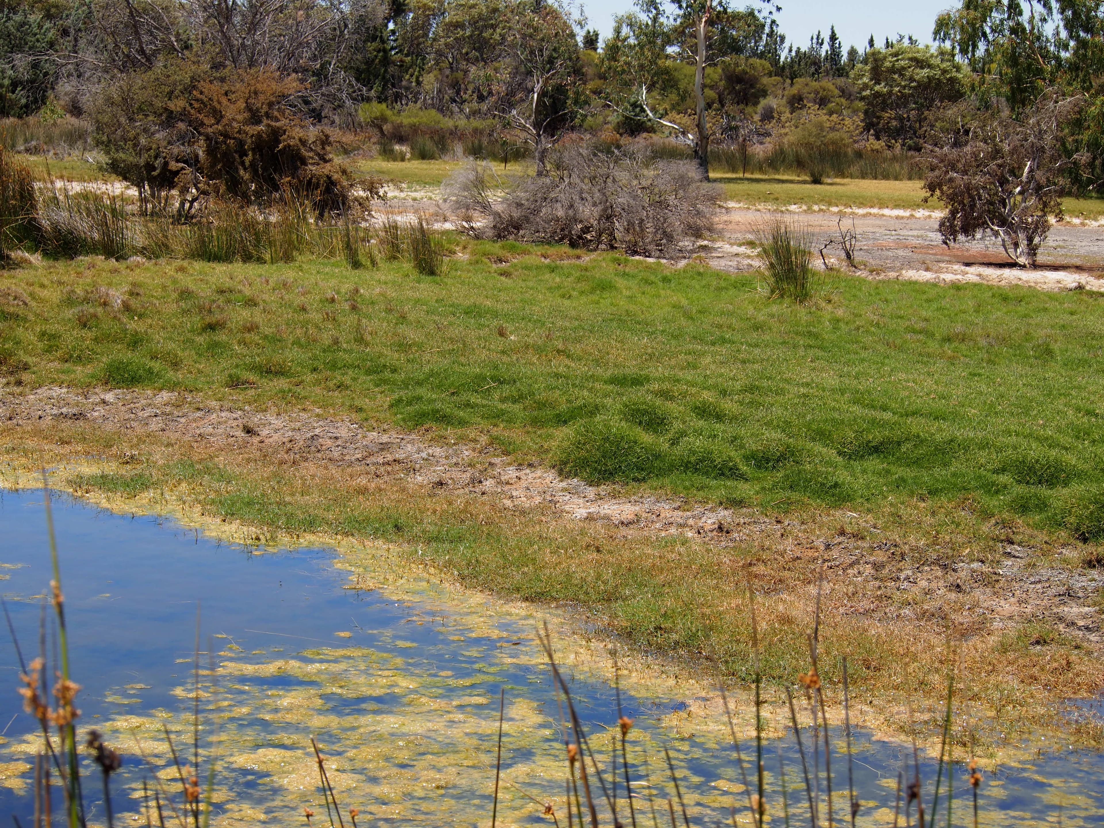 500 Dalwallinu West Road, Dalwallinu WA 6609, Dalwallinu - Thumbnail 4