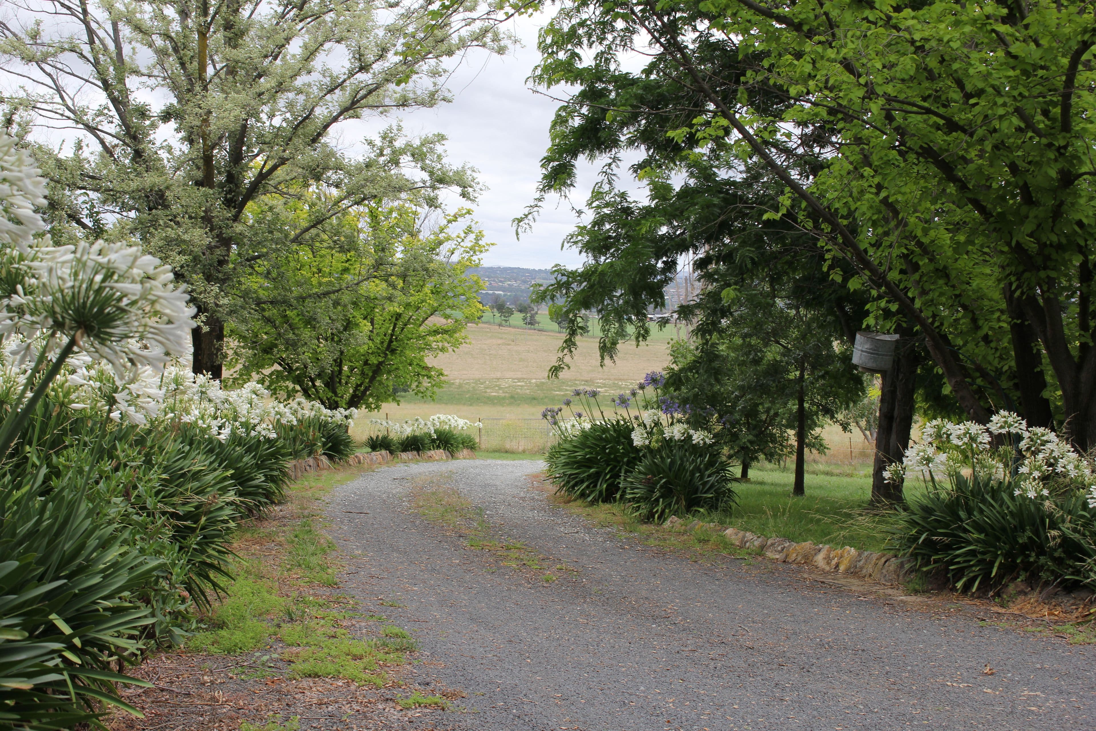 722 Sofala Road, Laffing Waters NSW 2795, Laffing Waters - Thumbnail 2