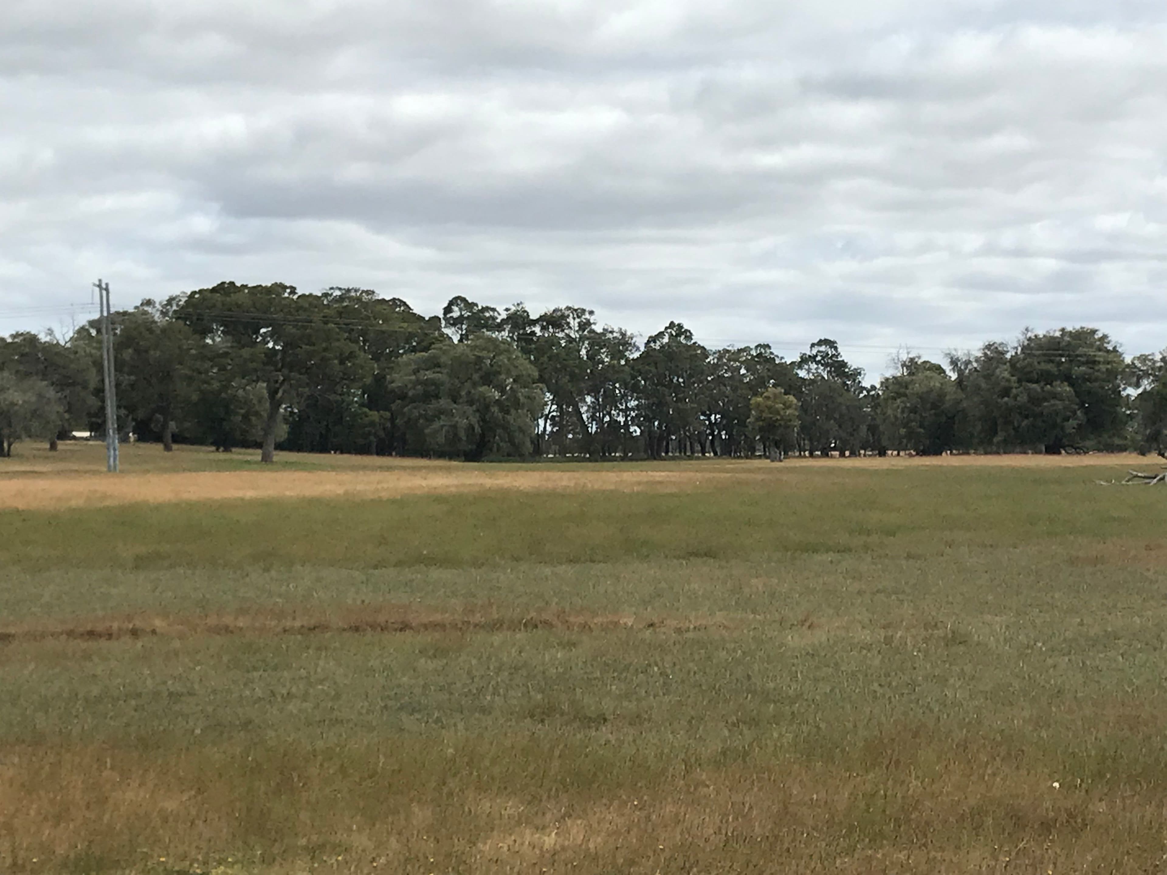 Lot 58 Martin-Pelusey Road, Waterloo WA 6228, Waterloo - Thumbnail 3