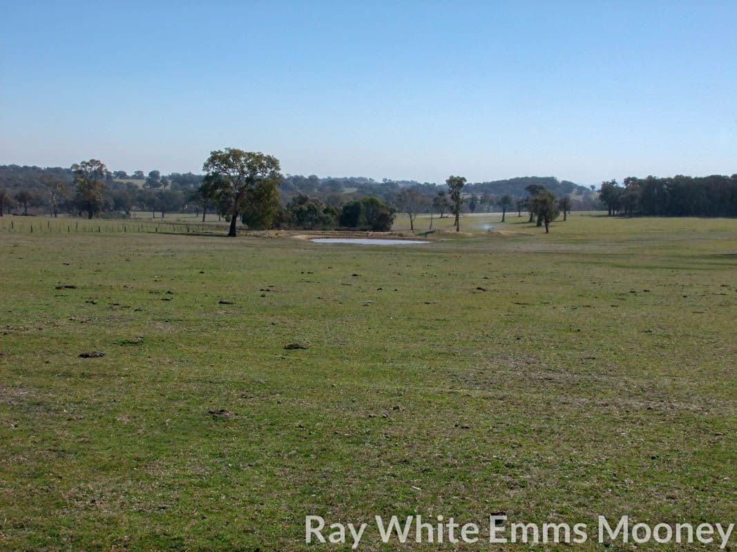 Garland NSW 2797, Garland - Image 1