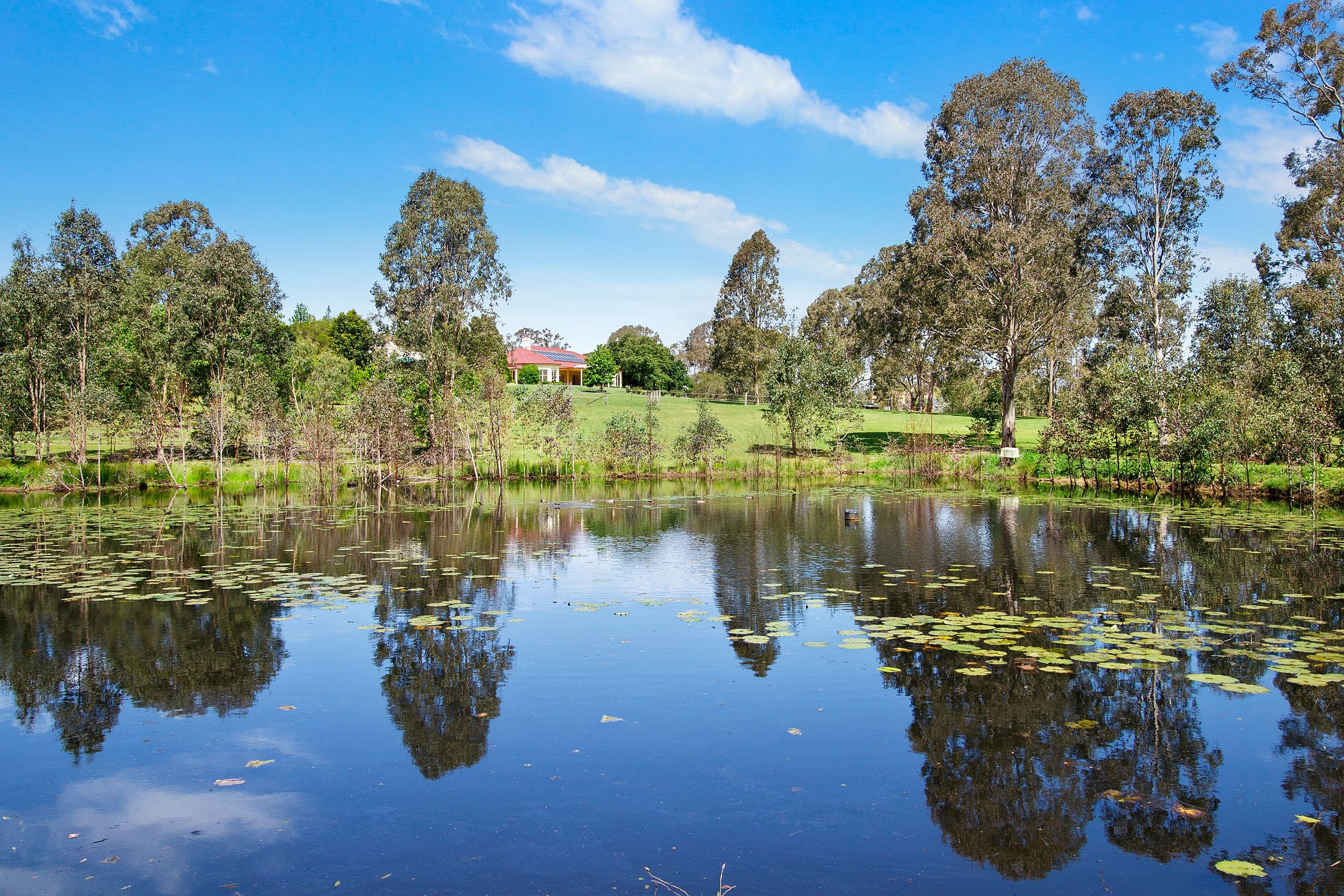54 Grose River Road, Grose Wold NSW 2753, Grose Wold - Thumbnail 6