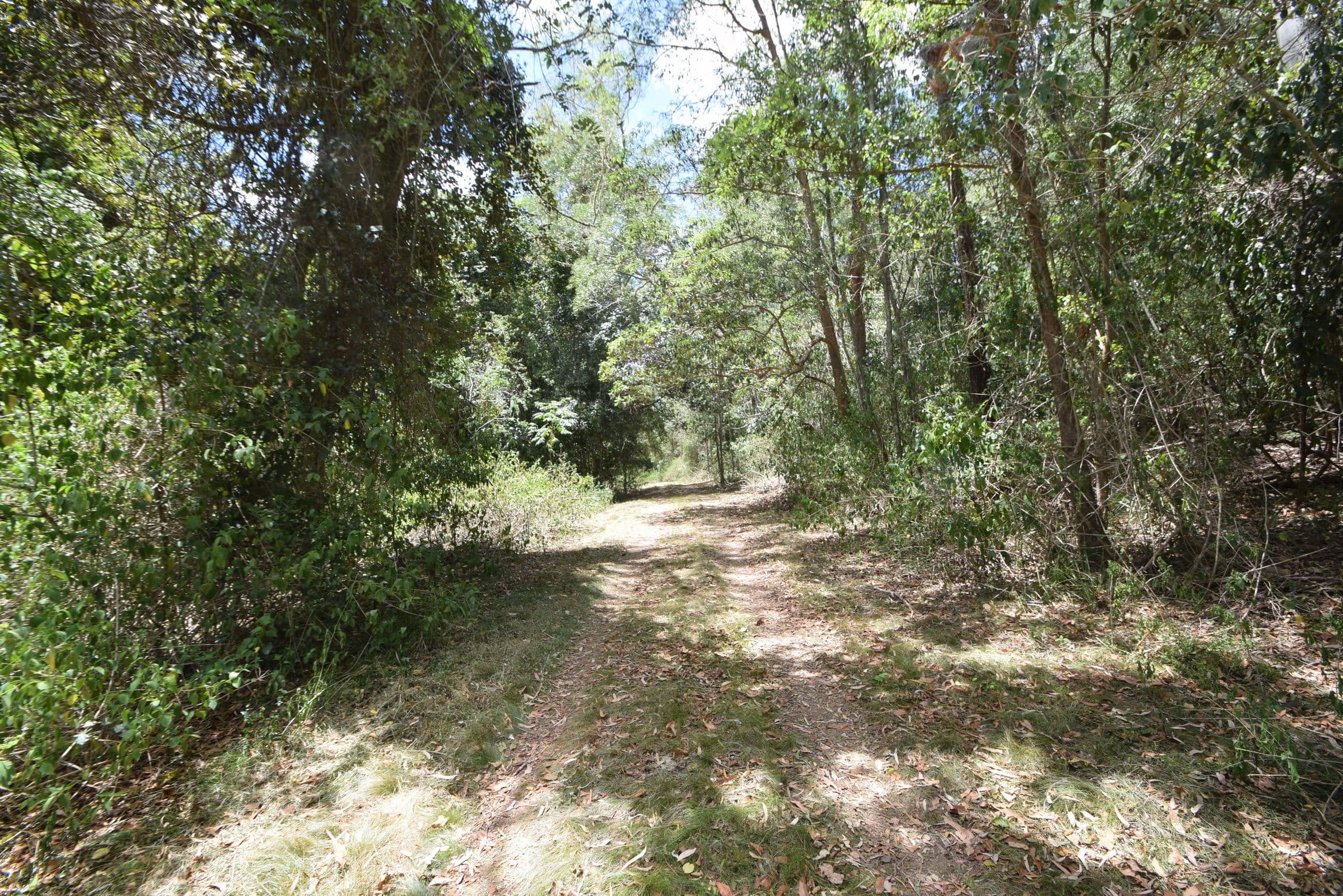 1966 Mount Byron Road, Mount Byron QLD 4312, Mount Byron - Thumbnail 5