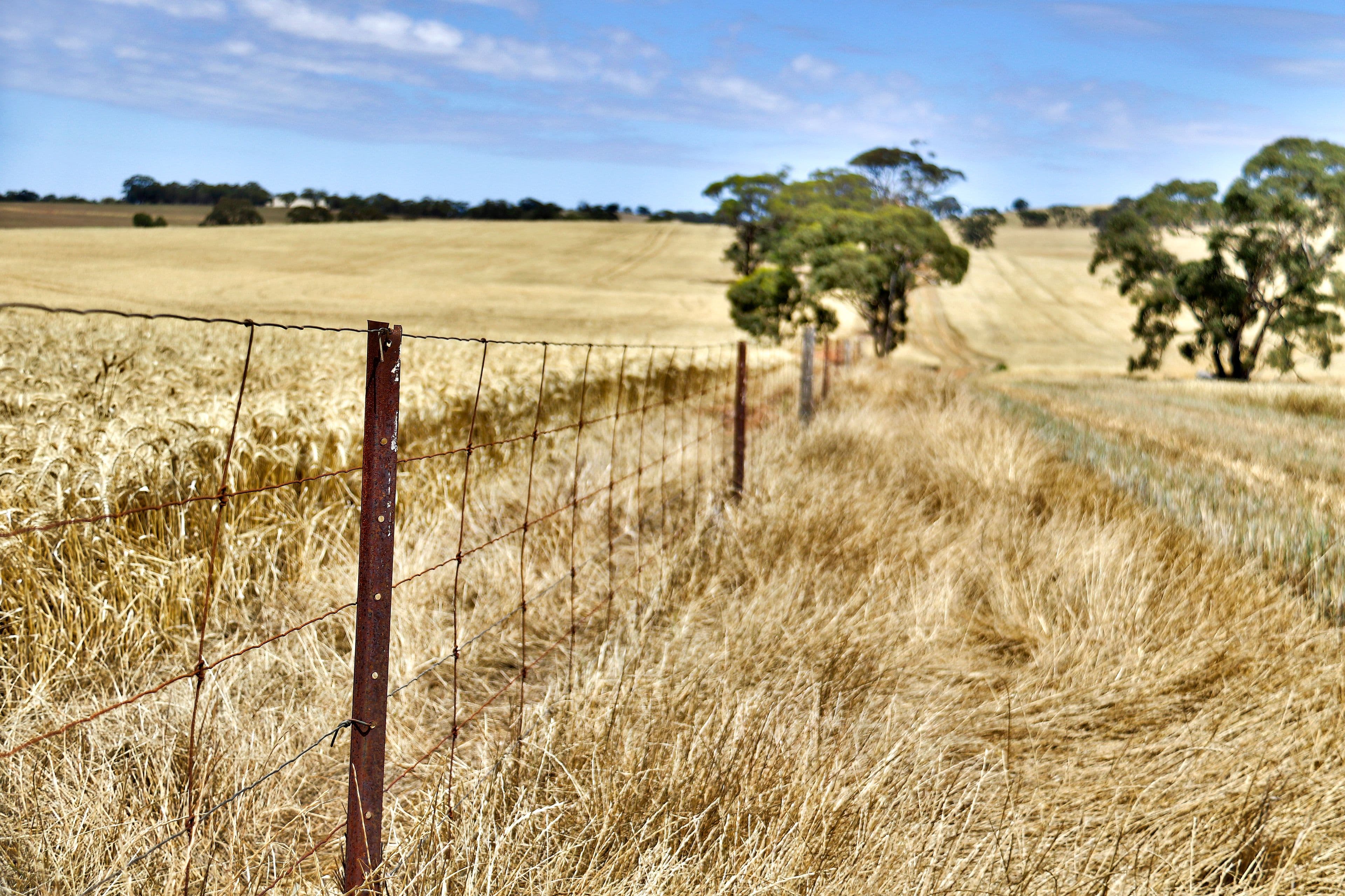 "Cloverhills" Brothers Hill Road, MANOORA SA 5414, Manoora - Thumbnail 7