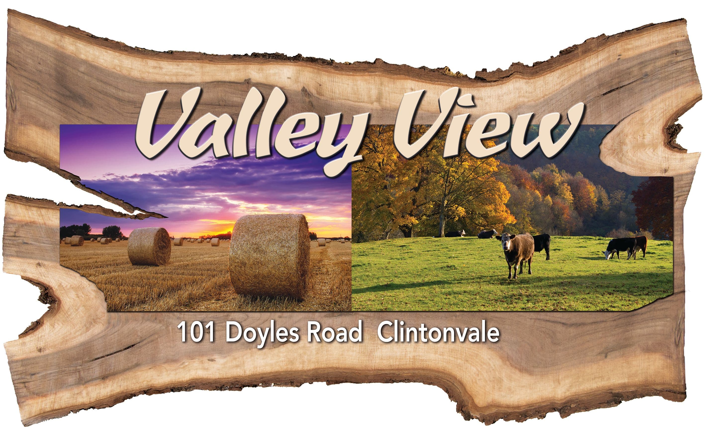 Lot 183 Doyles Road, Clintonvale QLD 4370, Clintonvale - Thumbnail 2