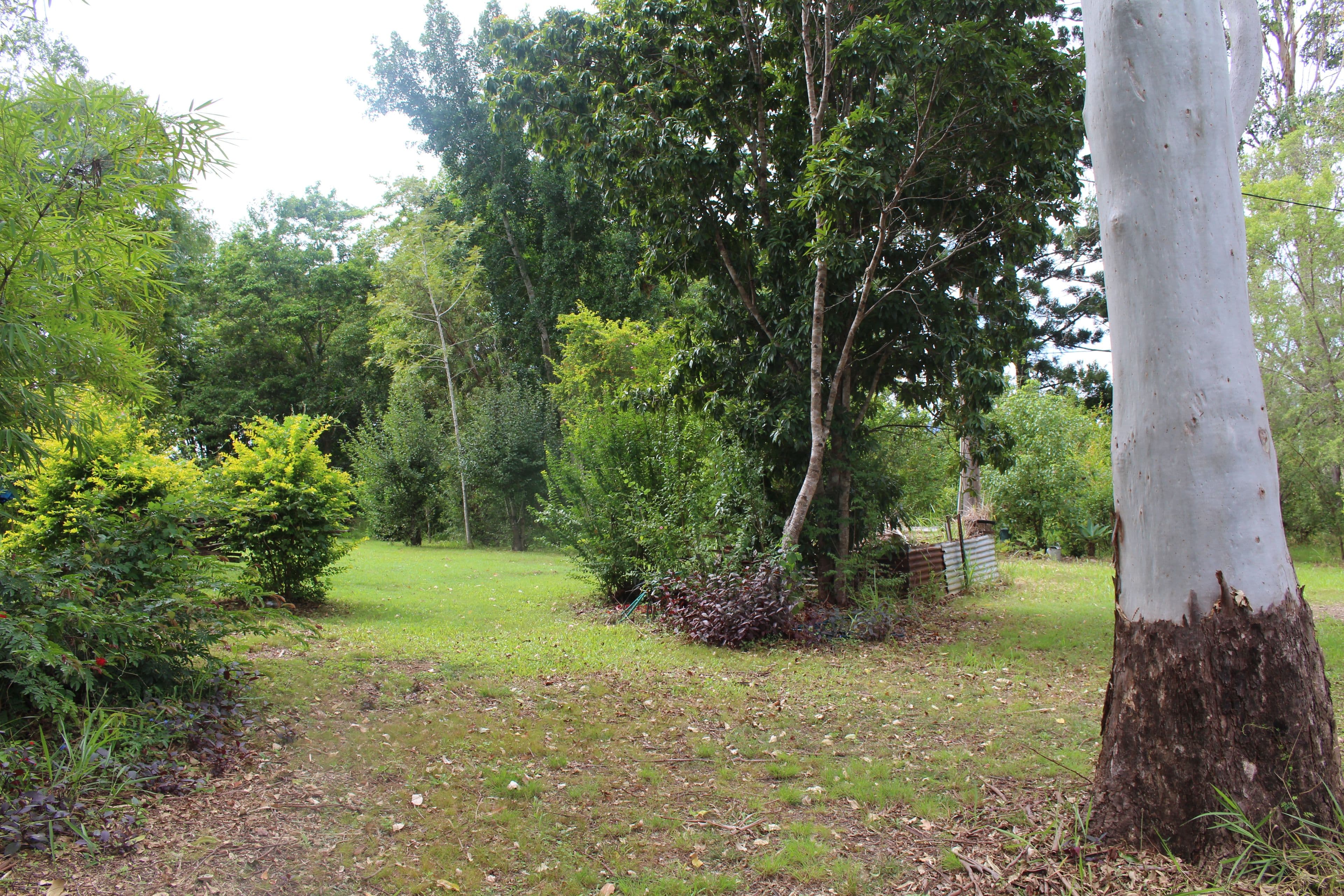 2120 Mary Valley Road, Kandanga QLD 4570, Kandanga - Image 1