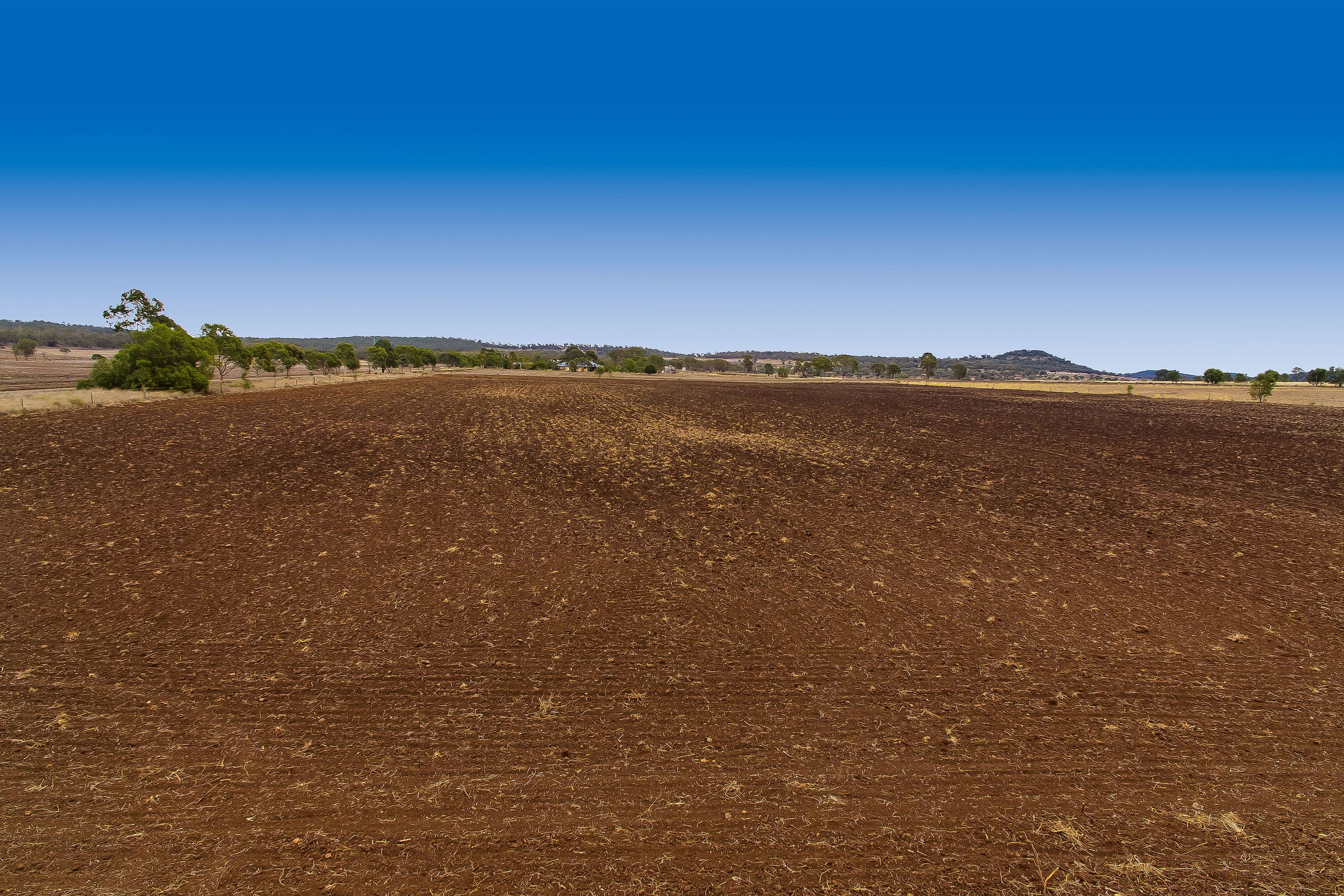 0 Linthorpe Valley Road, Linthorpe, Southbrook QLD 4363, Southbrook - Thumbnail 3