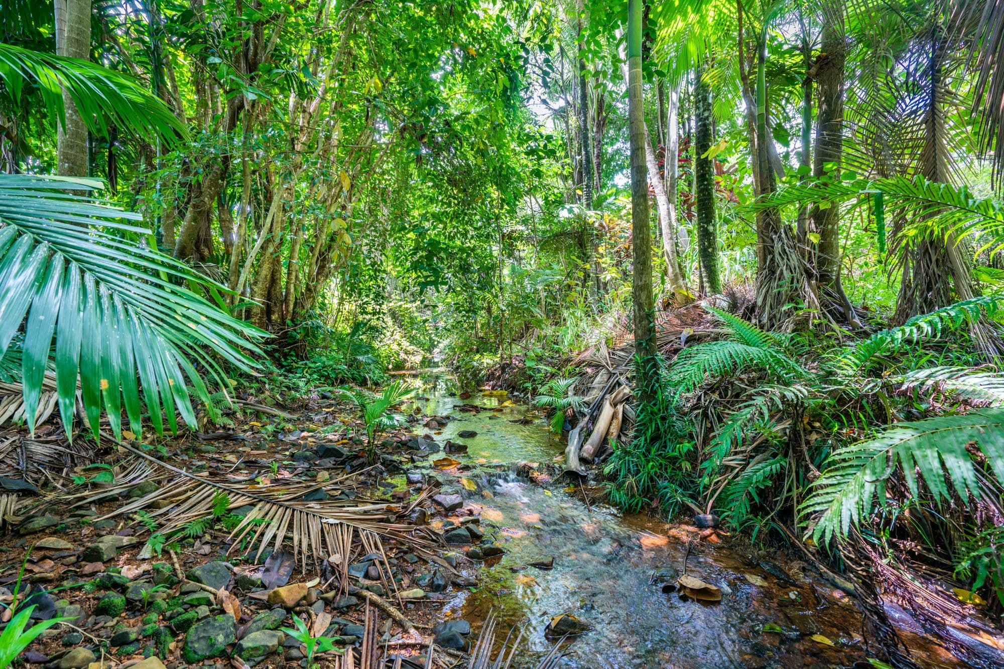 1 Meuanbah Road, Bombeeta, Mena Creek QLD 4871, Mena Creek - Thumbnail 2