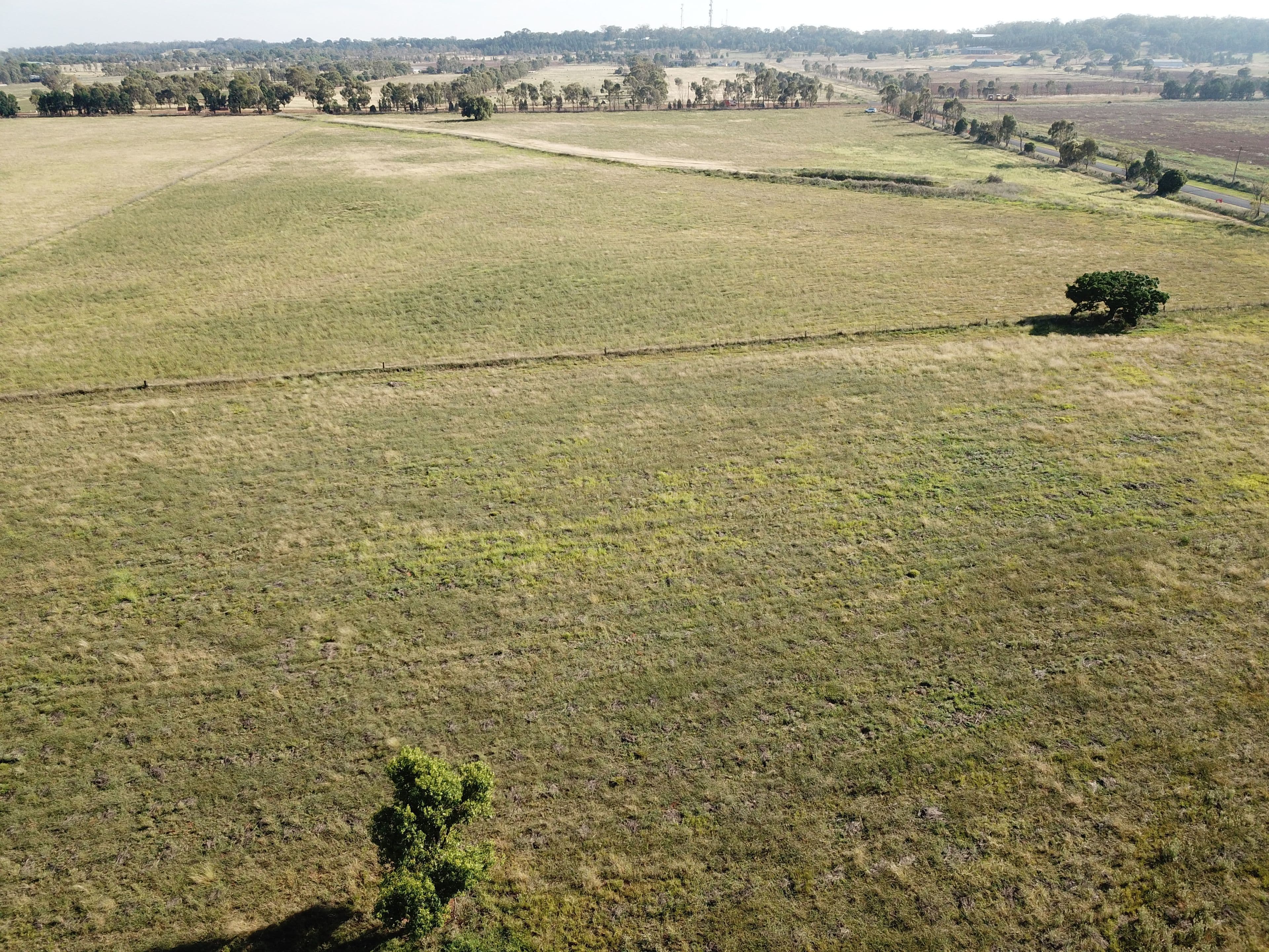 'Pinedale Park' 8R Peachville Road, Dubbo NSW 2830, Dubbo - Thumbnail 5