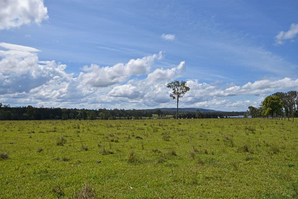 Lot 37 Tullymorgan Road, Lawrence NSW 2460, Lawrence - Thumbnail 6