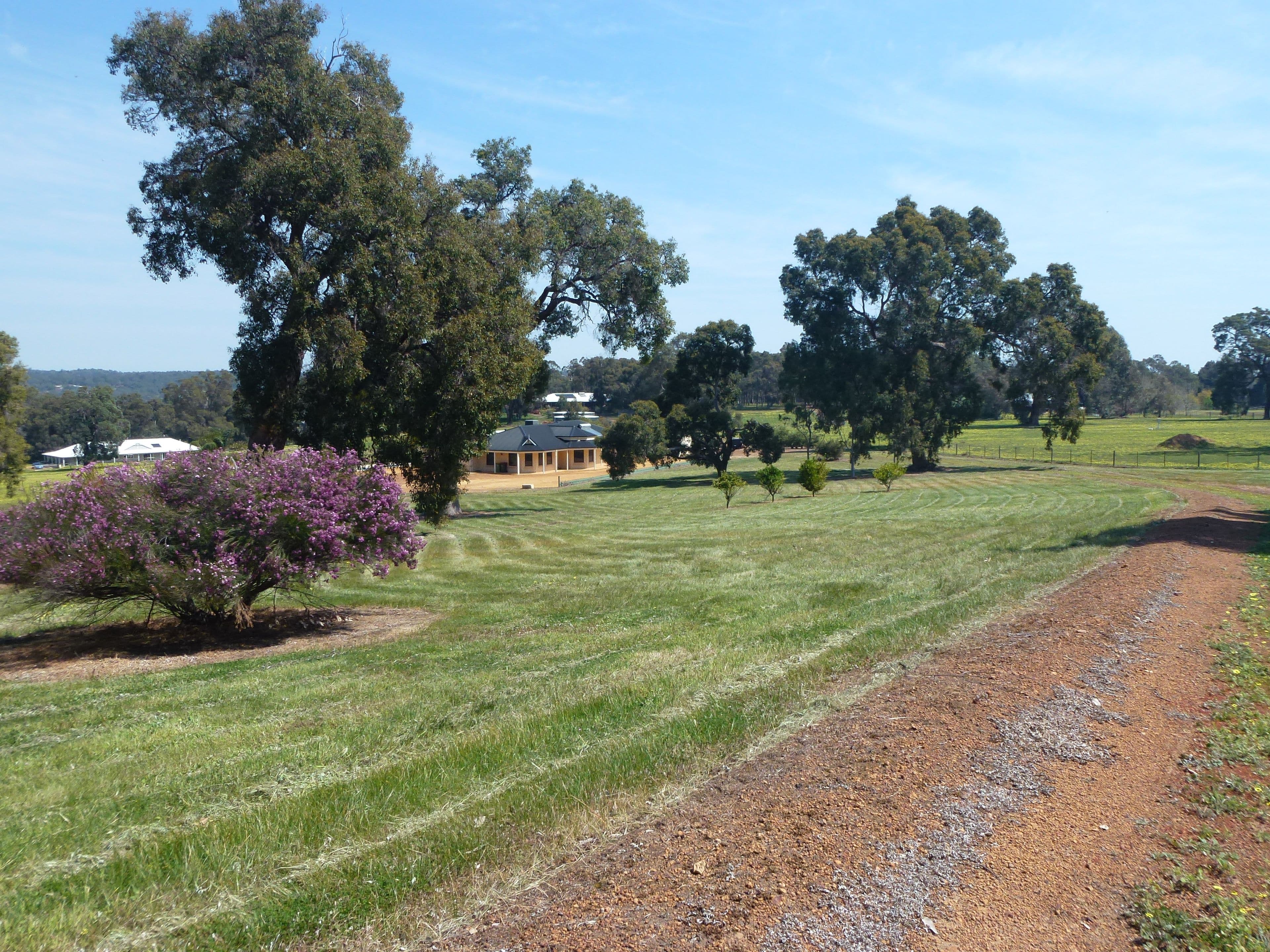 287 Maine Anjou Drive, Lower Chittering WA 6084, Lower Chittering - Thumbnail 2
