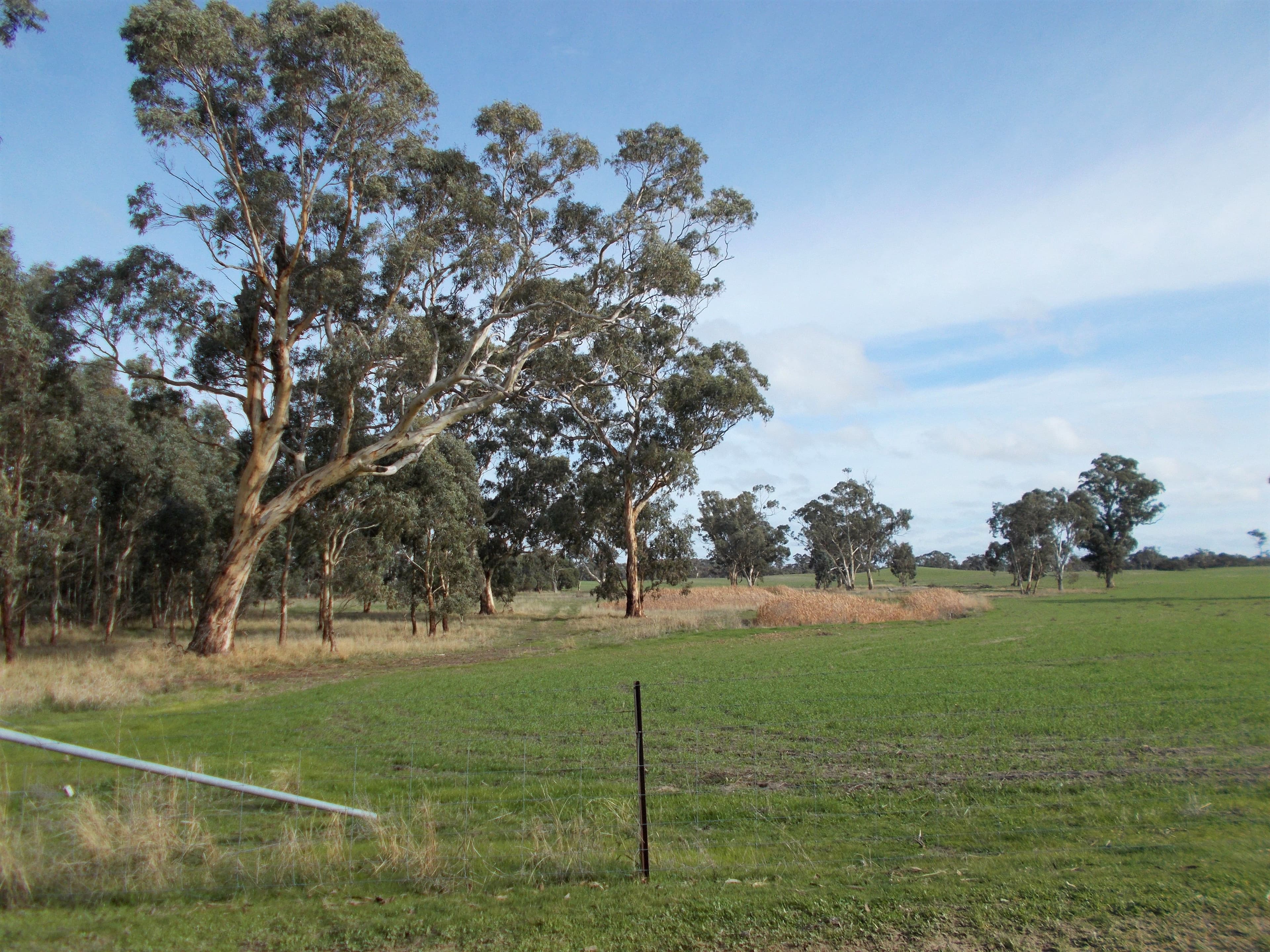 469 Cadell Road, Western Flat SA 5268, Western Flat - Image 1