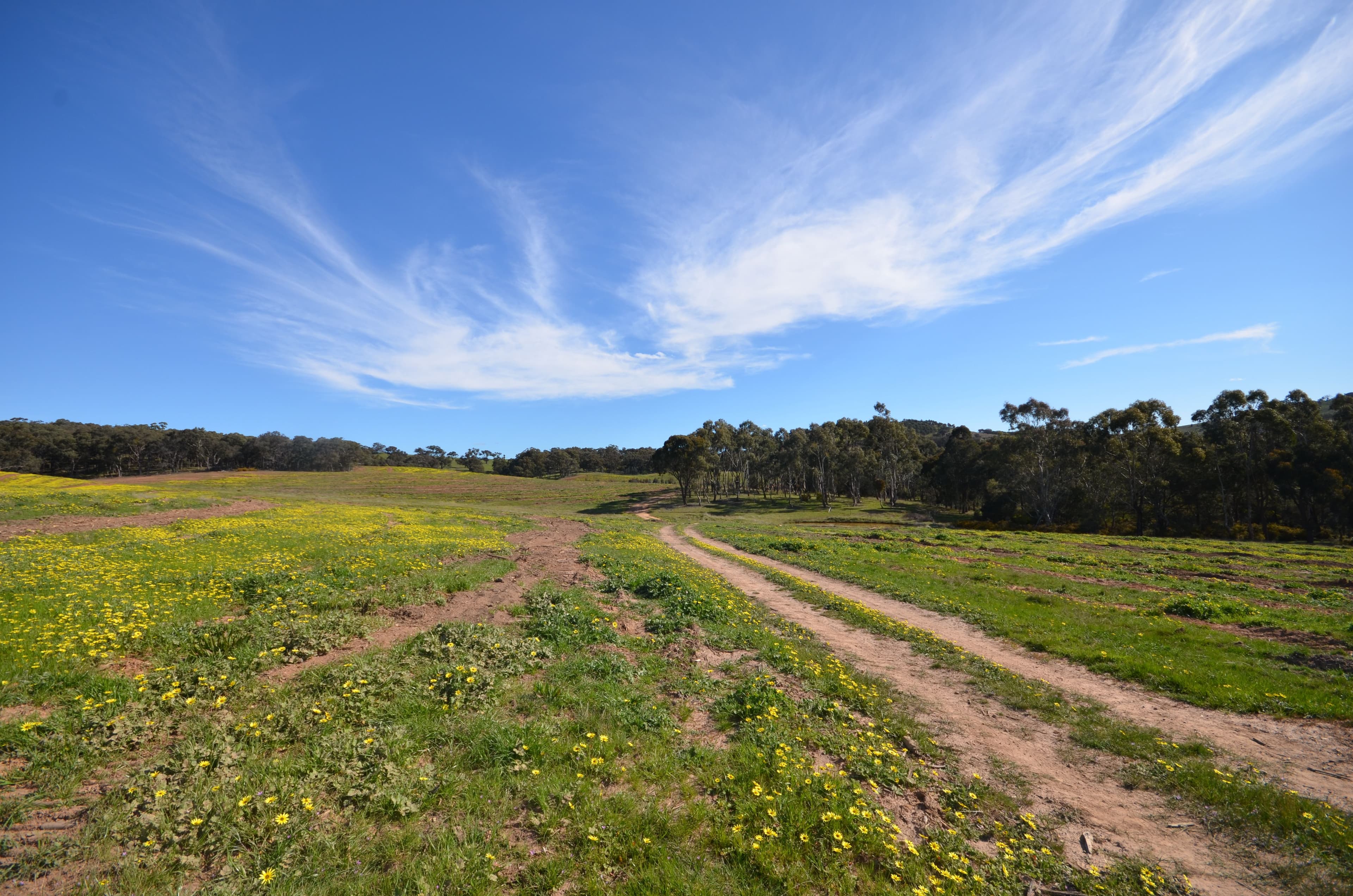 CA 5B and 6B Black Bottom Road, LEXTON VIC 3352, Lexton - Thumbnail 6