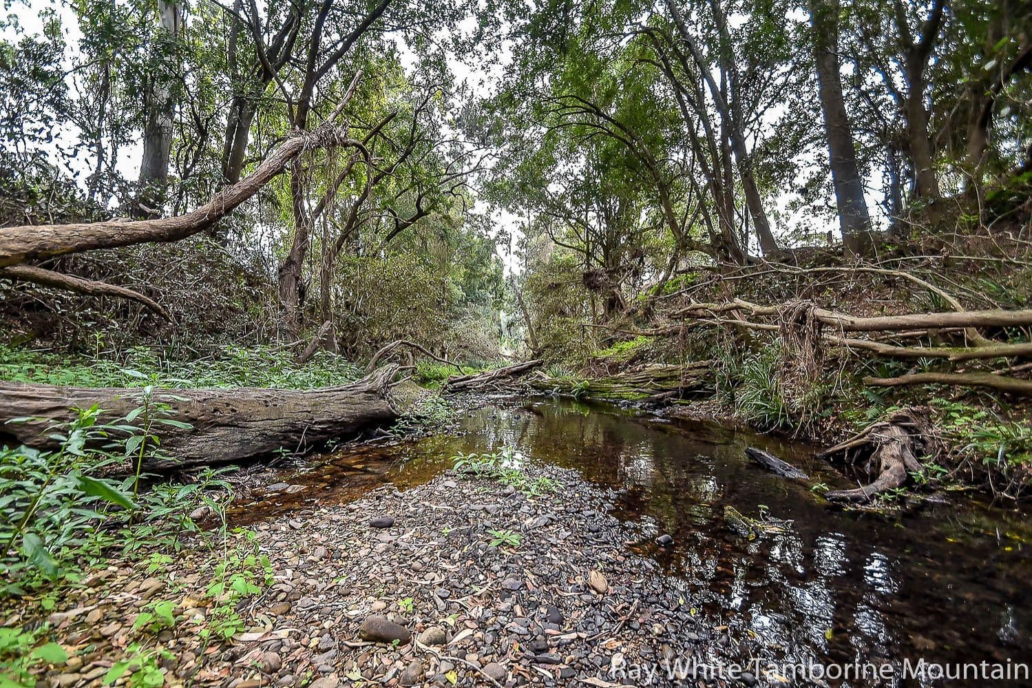 154 Karen Court, Tamborine QLD 4270, Tamborine - Thumbnail 2