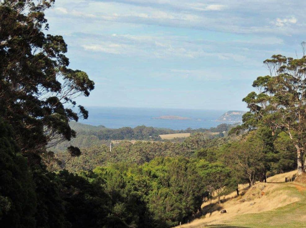 Lot 38 Illsley Drive, Denmark WA 6333, Denmark - Image 1