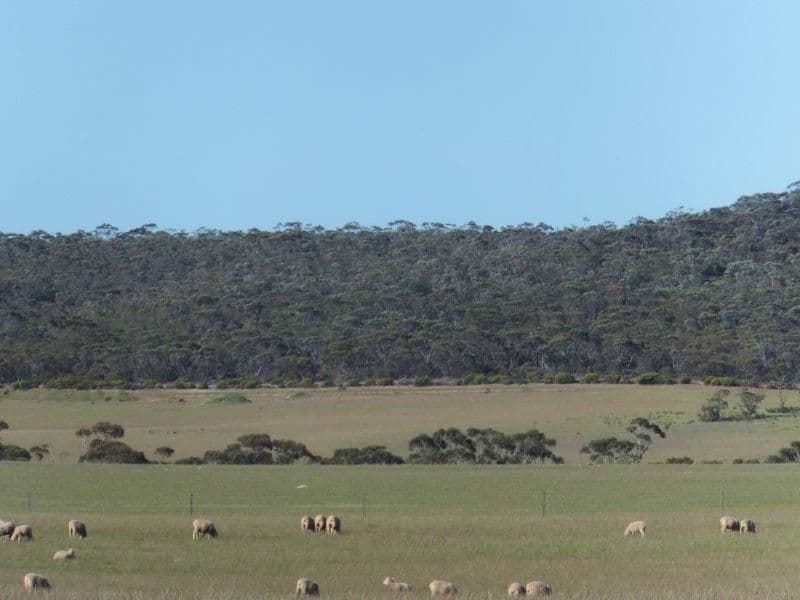 Lot 2 South Coast Highway, Ravensthorpe WA 6346, Ravensthorpe - Image 1