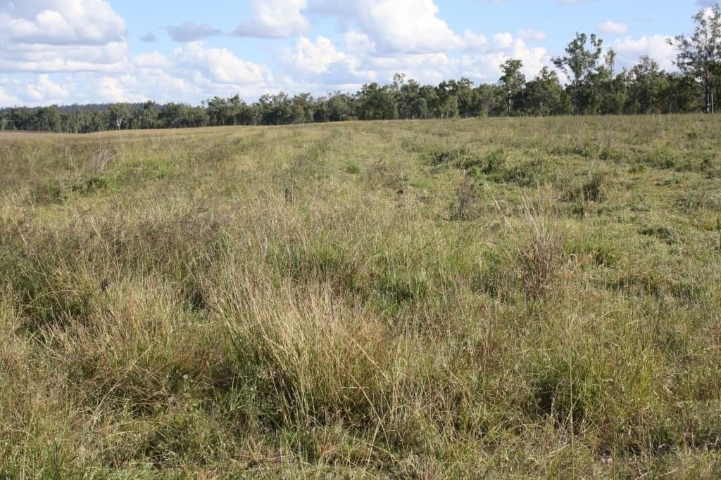 Lot 55 & 79 Burnett Highway, Eidsvold QLD 4627, Eidsvold - Thumbnail 8
