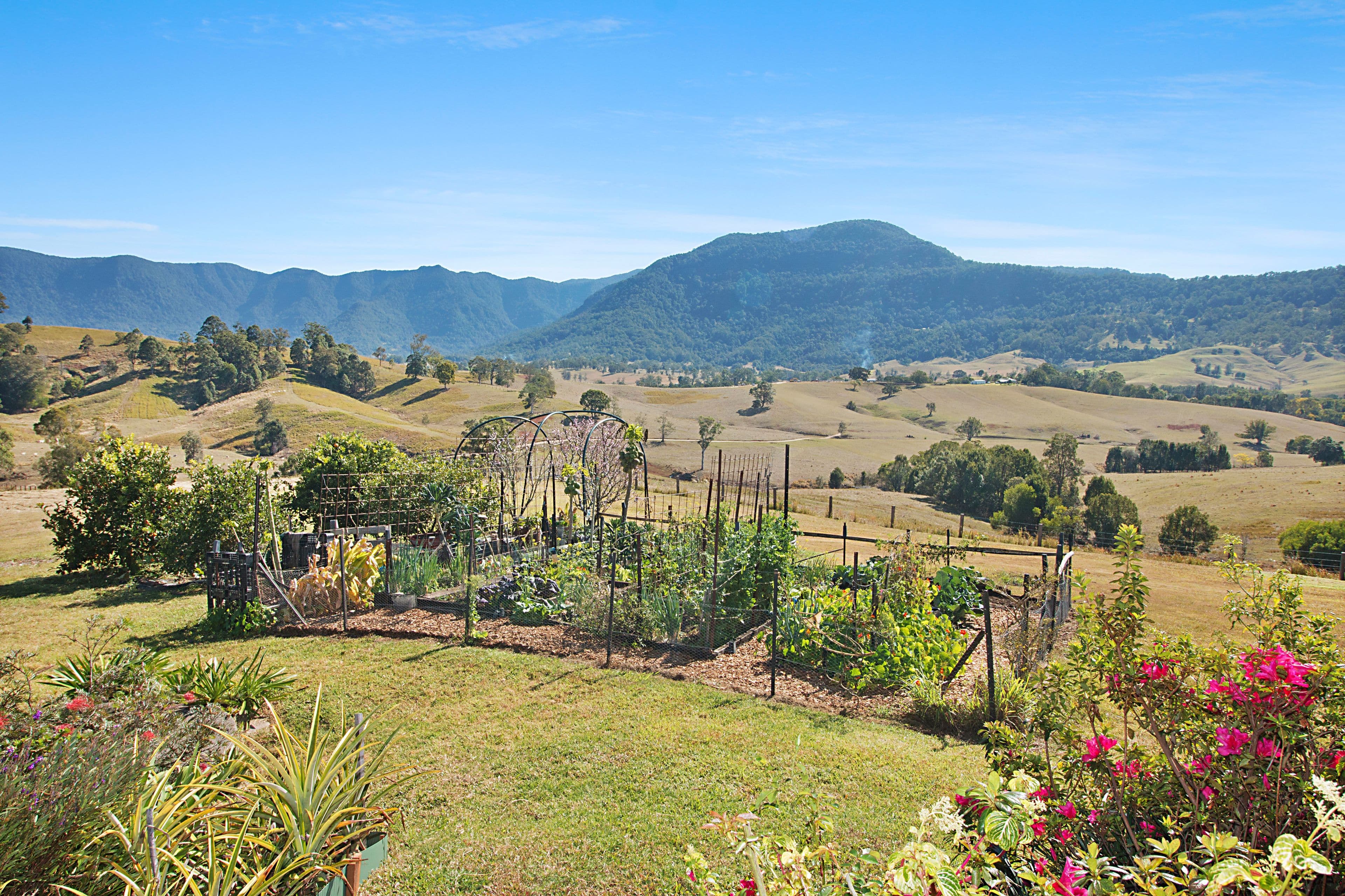 44 Possumwood Close, Tyalgum NSW 2484, Tyalgum - Thumbnail 5