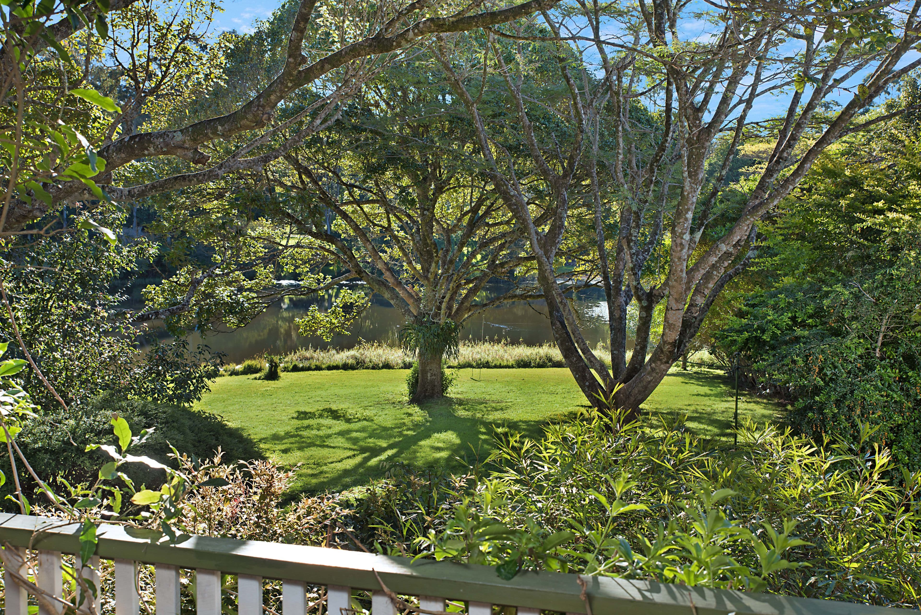 368 Mountain View Road, Maleny QLD 4552, Maleny - Thumbnail 7