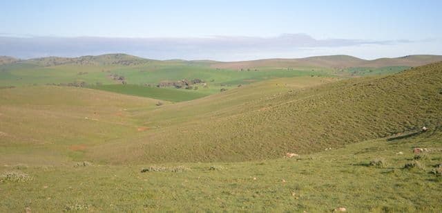 "Ashleys" Patterson Road, Gulnare SA 5471, Gulnare - Thumbnail 4