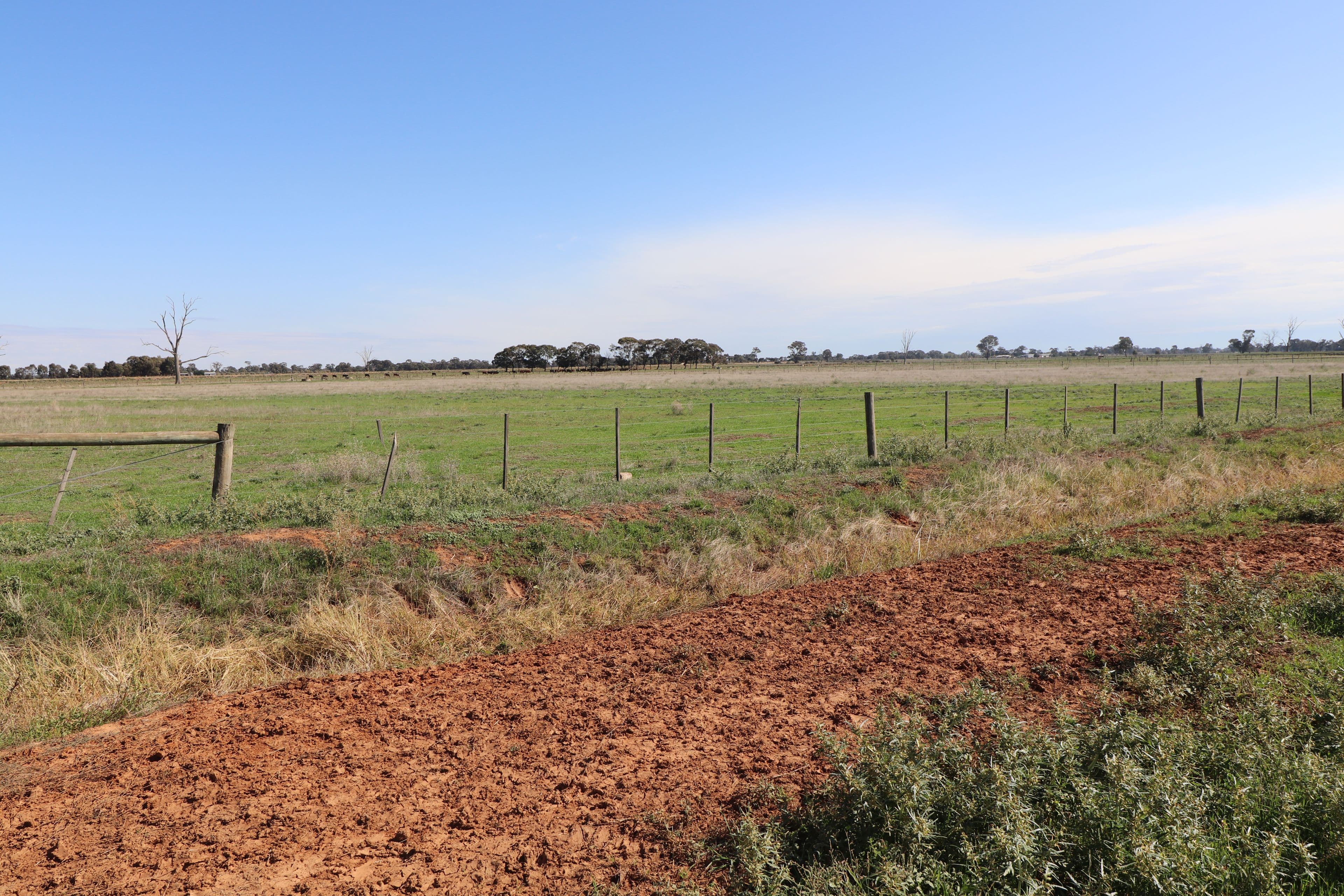 570 Stewart Road, Tatura VIC 3616, Tatura - Thumbnail 3