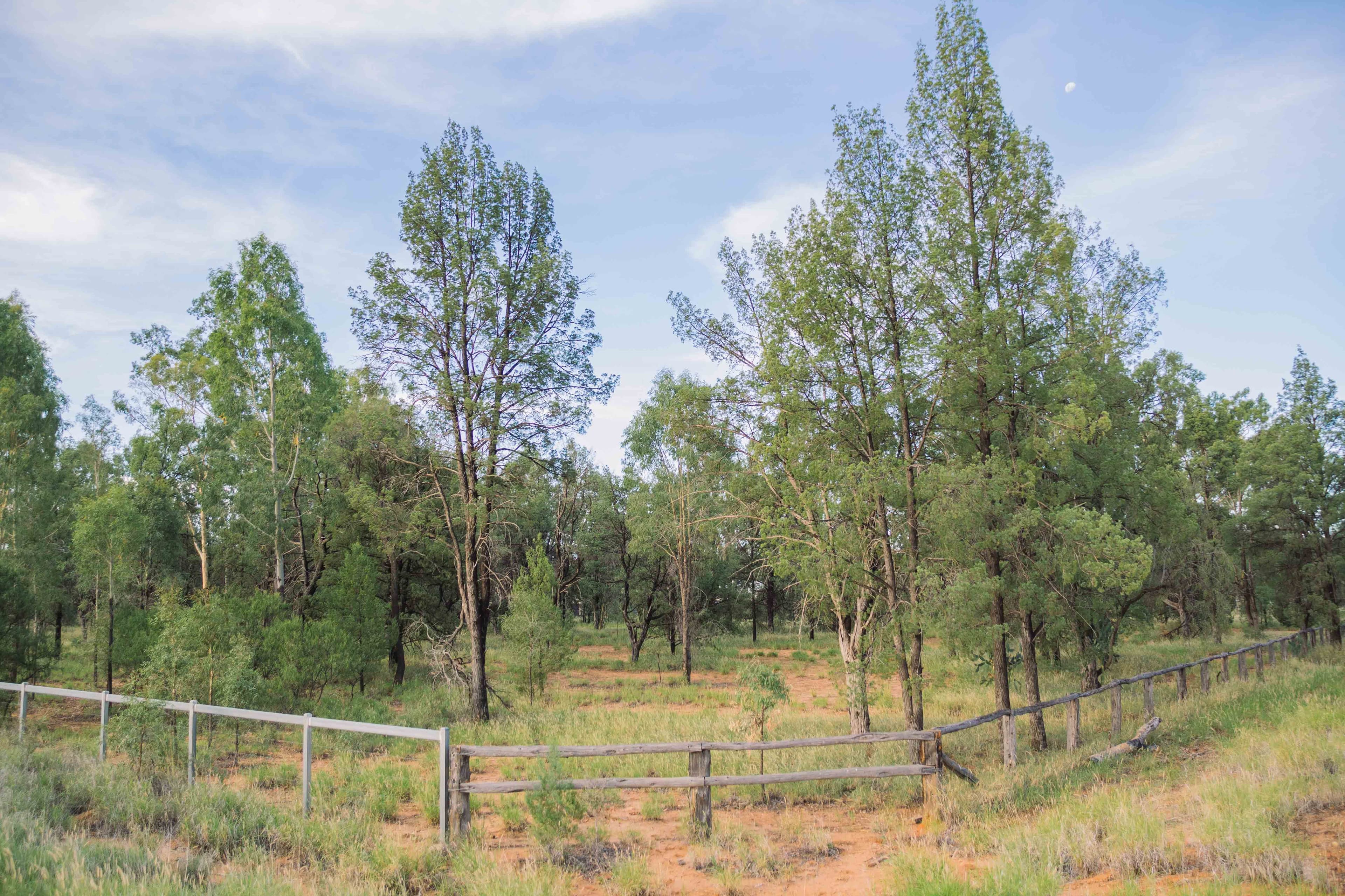 0 Banjarra Drive, Charleville QLD 4470, Charleville - Thumbnail 4