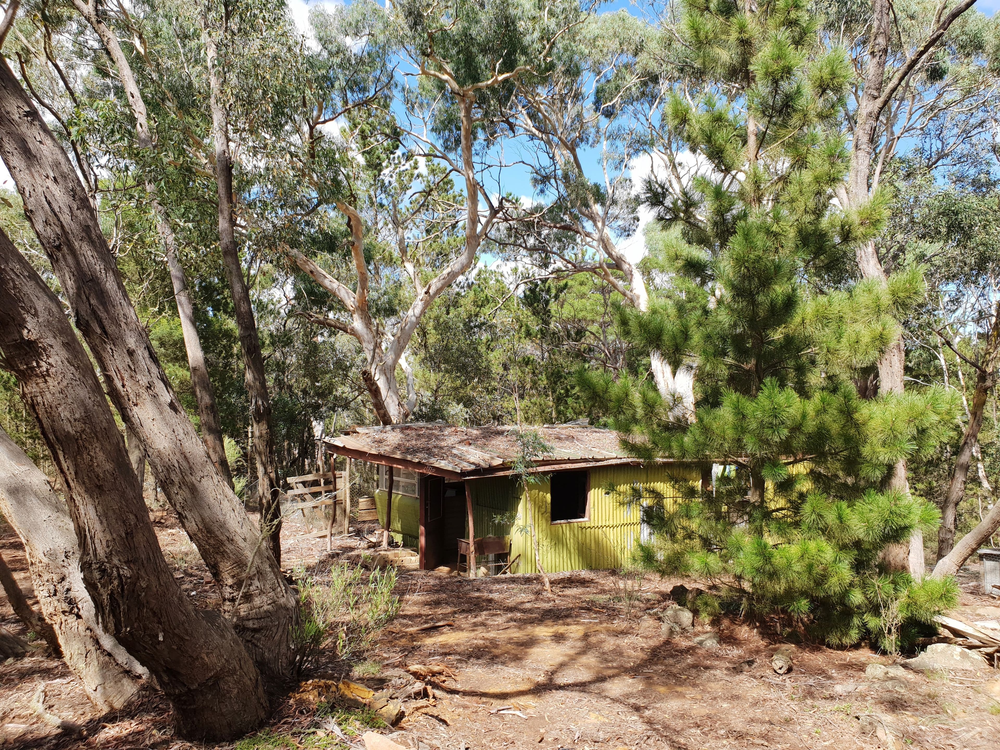 124 Nerriga Road, Braidwood NSW 2622, Braidwood - Thumbnail 7