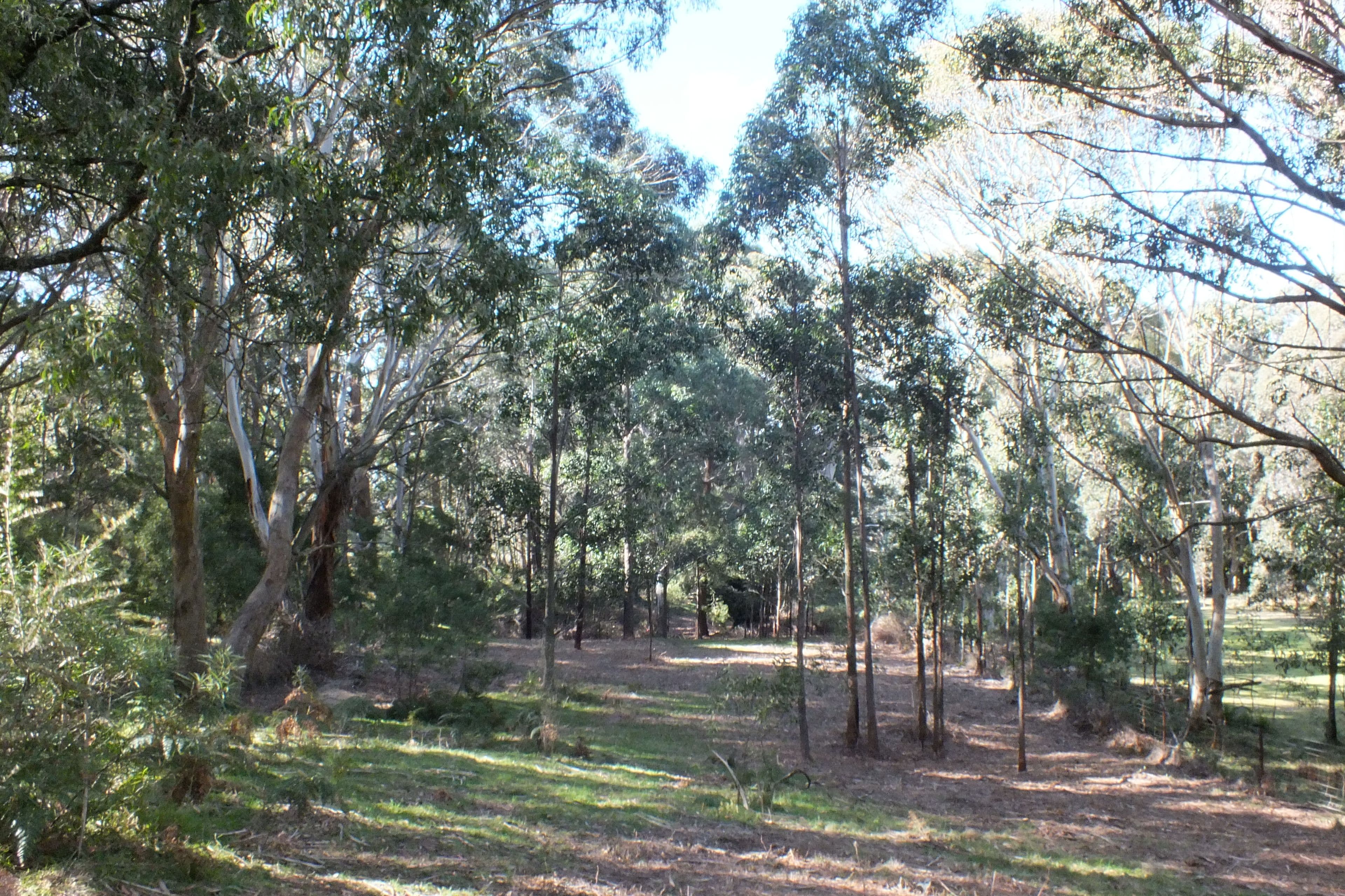 Lot 9 Jenolan Caves Road, Hampton NSW 2790, Hampton - Thumbnail 6
