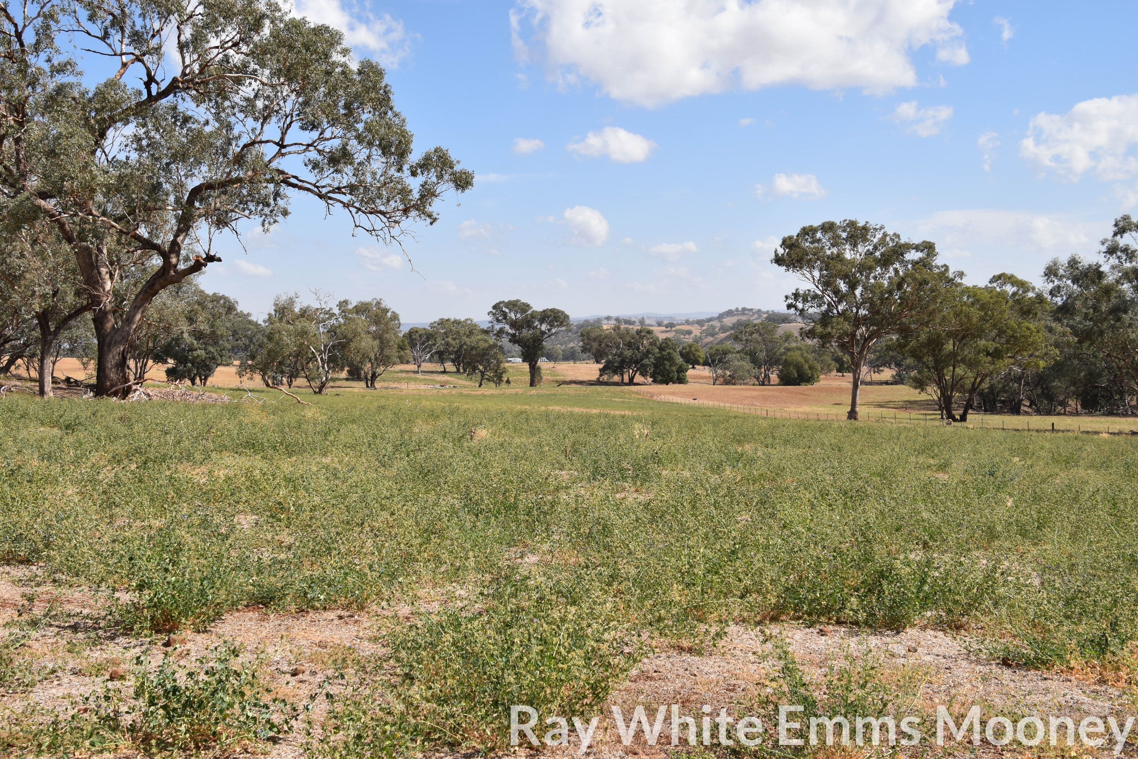 Orange NSW 2800, Orange - Image 1