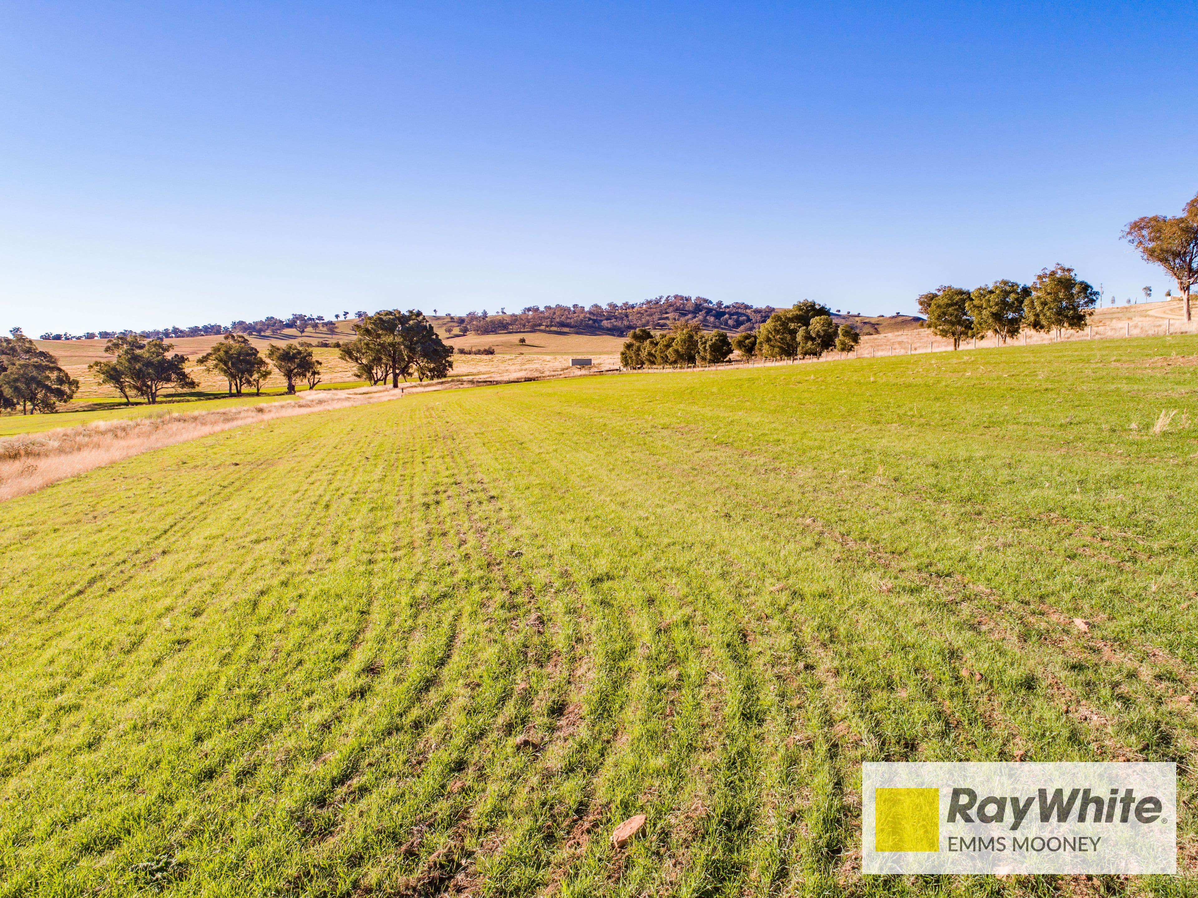 855B Darbys Falls Road, Cowra NSW 2794, Cowra - Thumbnail 5
