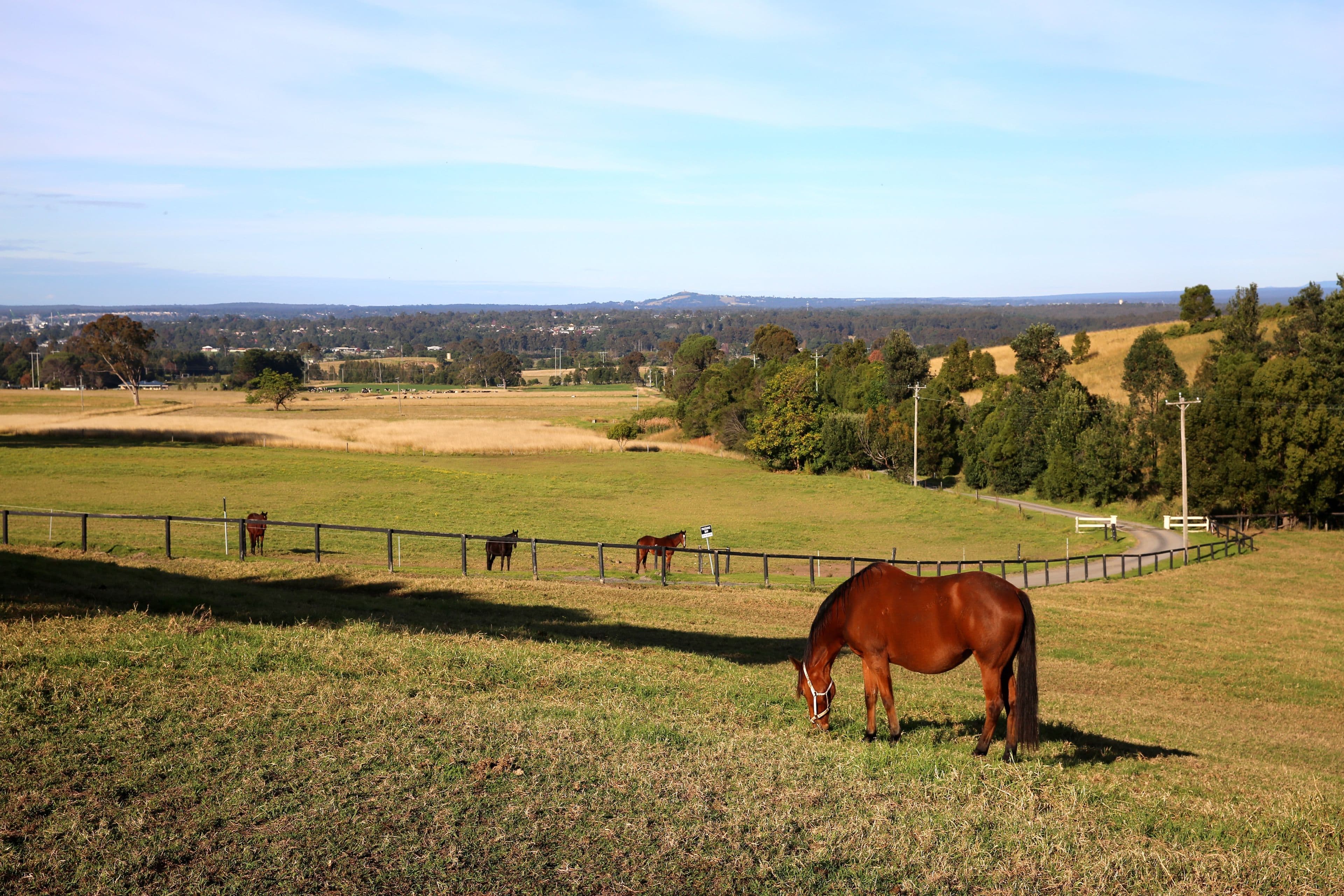 110B Elliott Lane, Meroo Meadow NSW 2540, Meroo Meadow - Thumbnail 2
