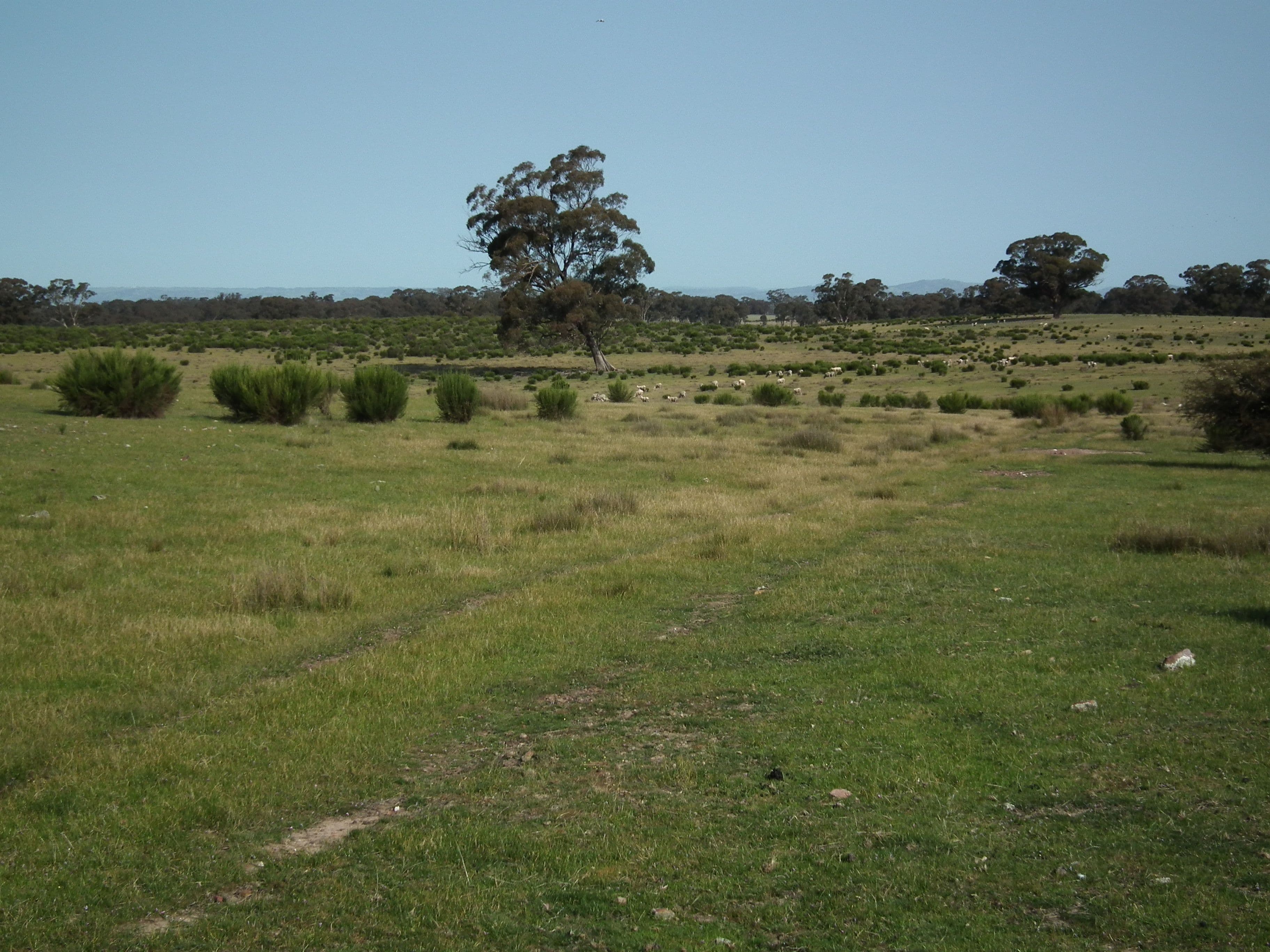 "Dwyers" Snipey Road, KIRWANS BRIDGE VIC 3608, Kirwans Bridge - Thumbnail 8