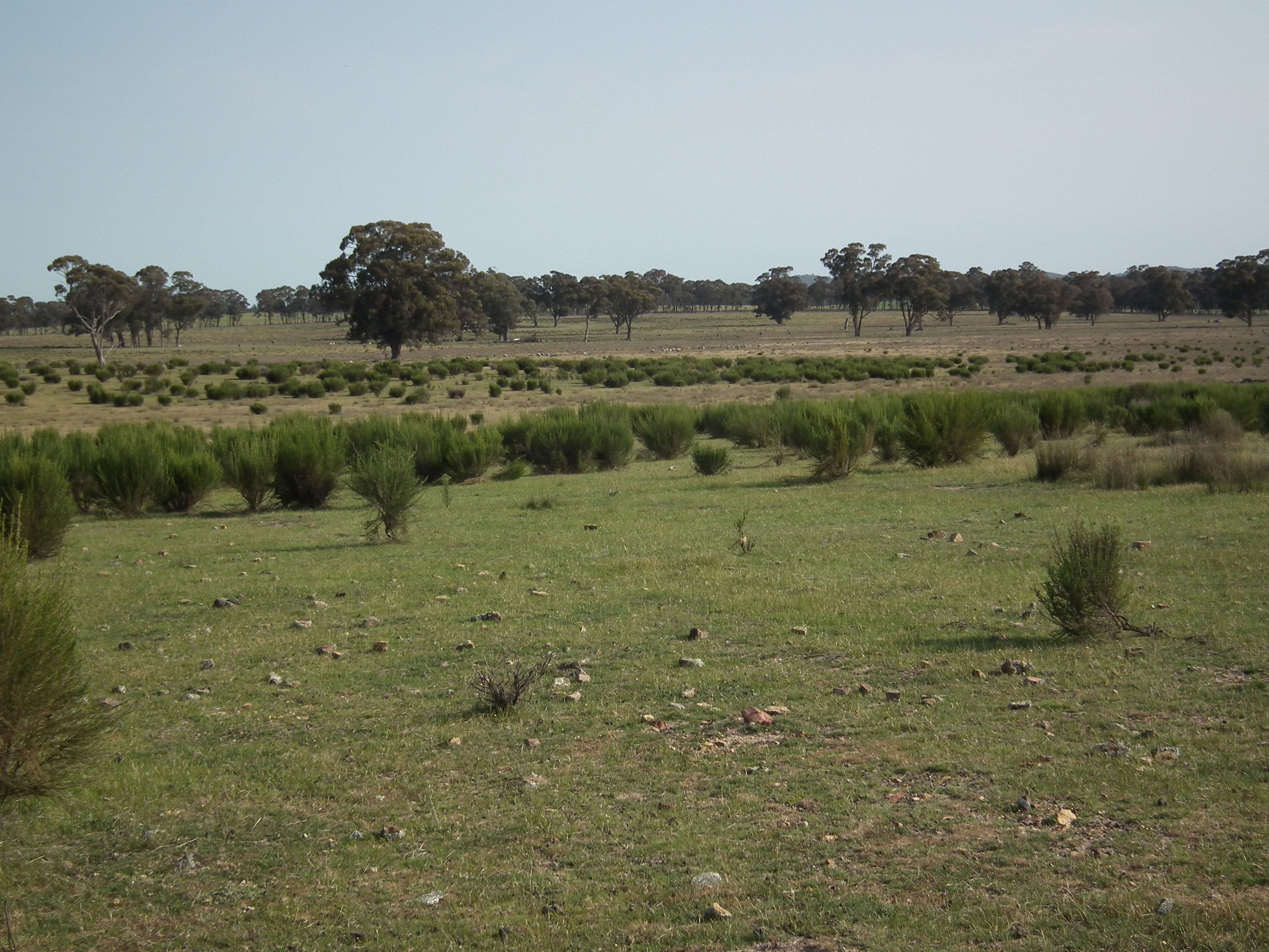 "Dwyers" Snipey Road, KIRWANS BRIDGE VIC 3608, Kirwans Bridge - Thumbnail 7