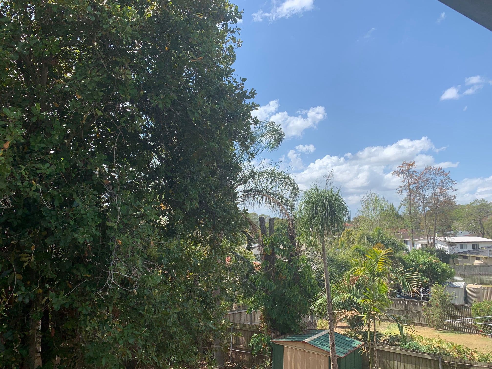 25 Woggle Street, Jamboree Heights QLD 4074, Jamboree Heights - Thumbnail 4
