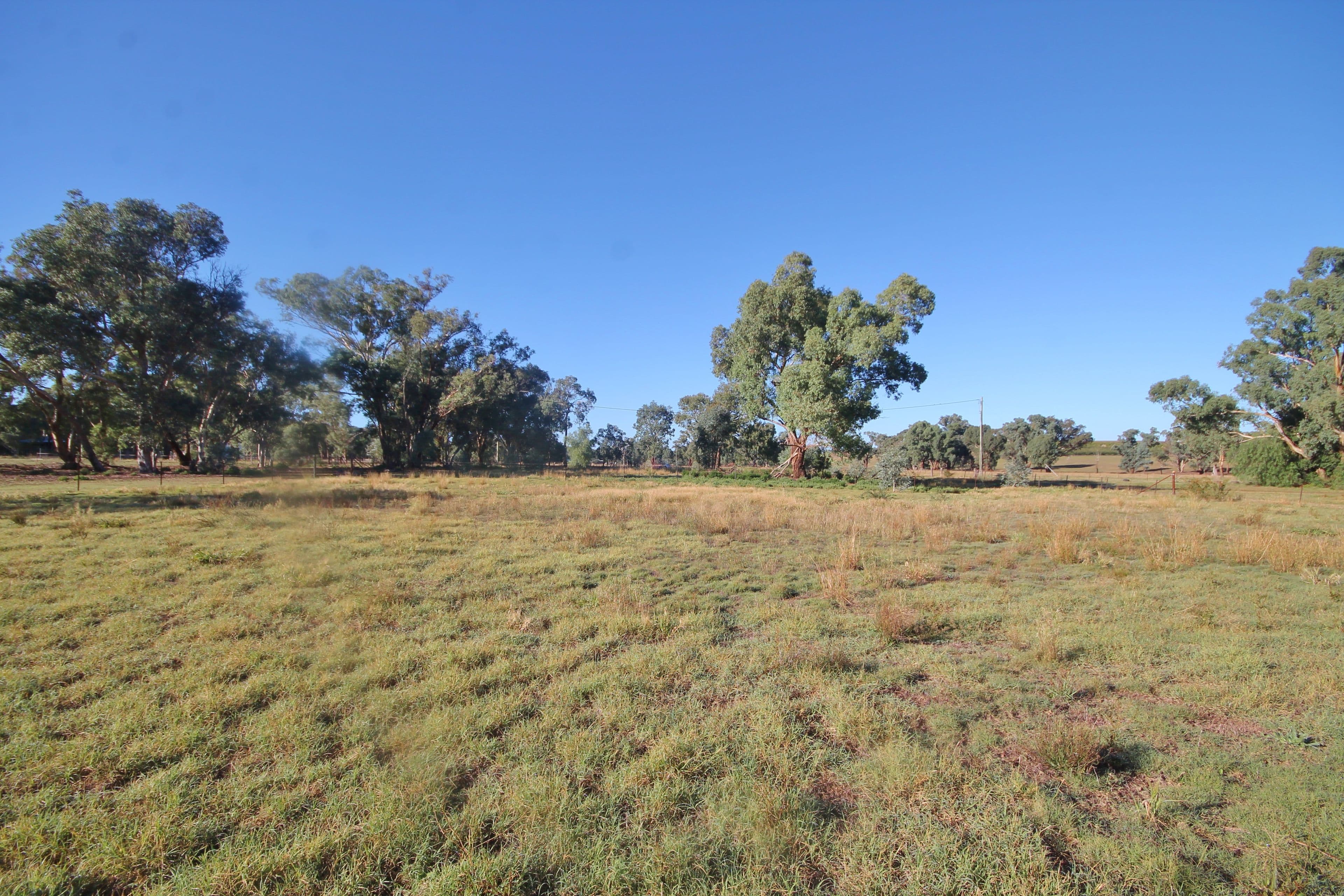 Lots 6&7, 24 Monteagle Stock Route Rd West, Monteagle NSW 2594, Monteagle - Thumbnail 2