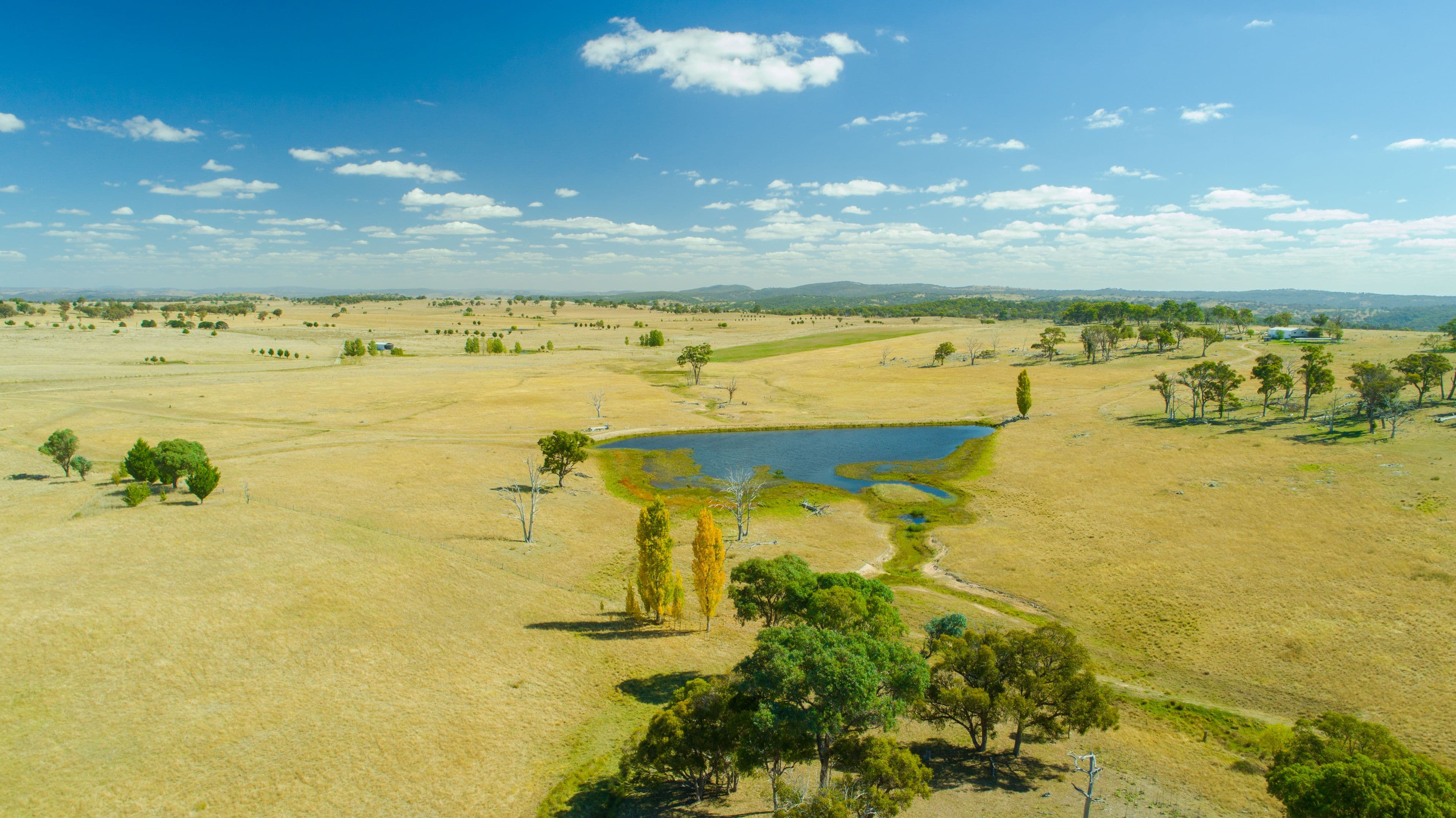 136 Bellbrook East Road, Armidale NSW 2350, Armidale - Image 1