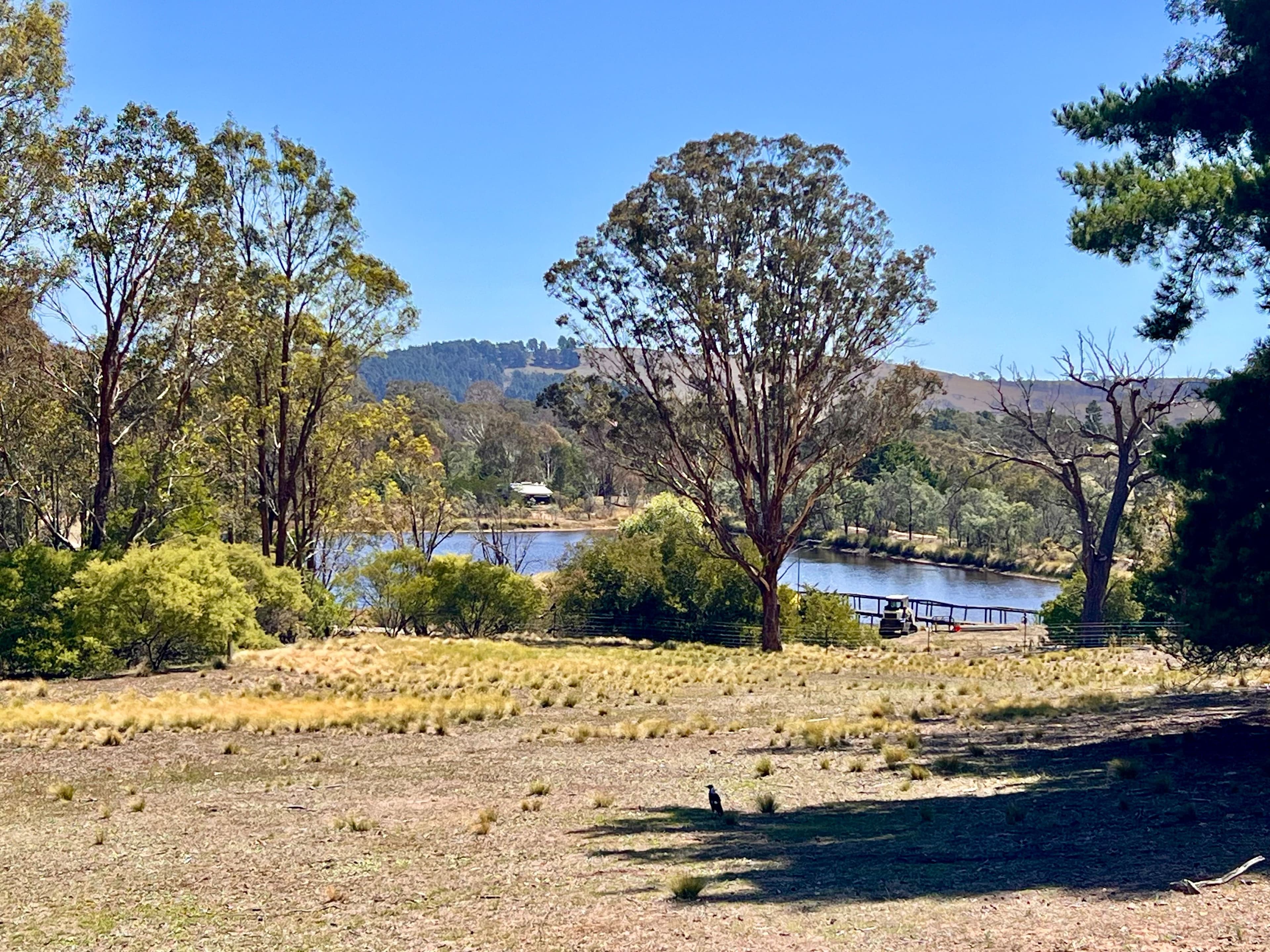 13 Songlark Lane, Sutton NSW 2620, Sutton - Thumbnail 5