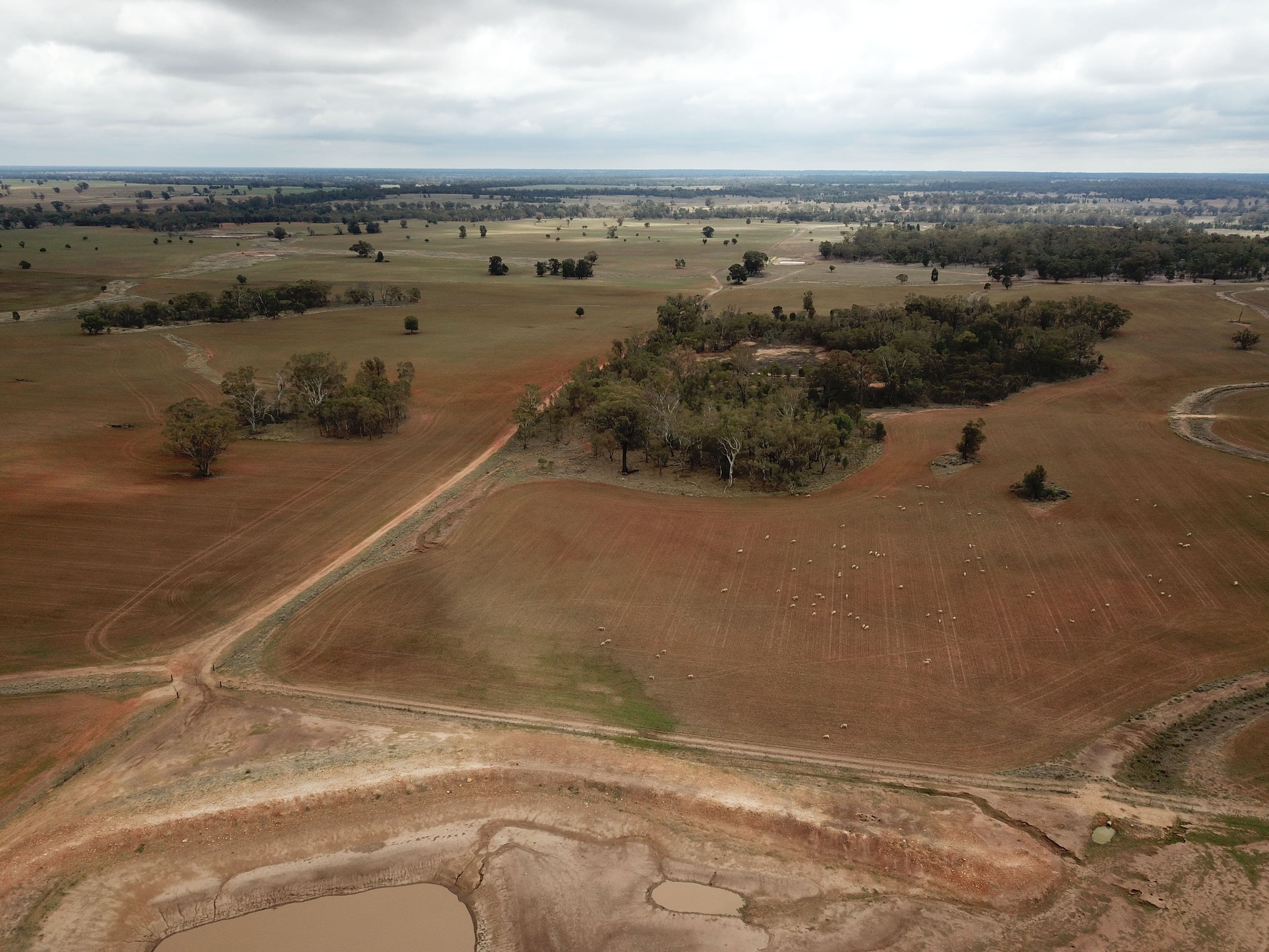 1020 Eumungerie Road, Dubbo NSW 2830, Dubbo - Thumbnail 7