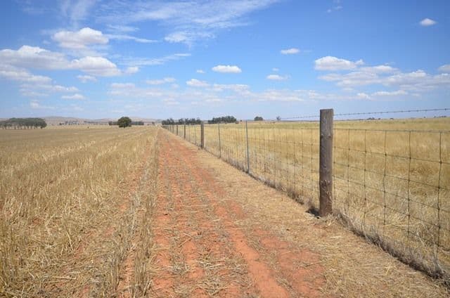 "Bills" Farrell Flat Road, Farrell Flat SA 5416, Farrell Flat - Image 1