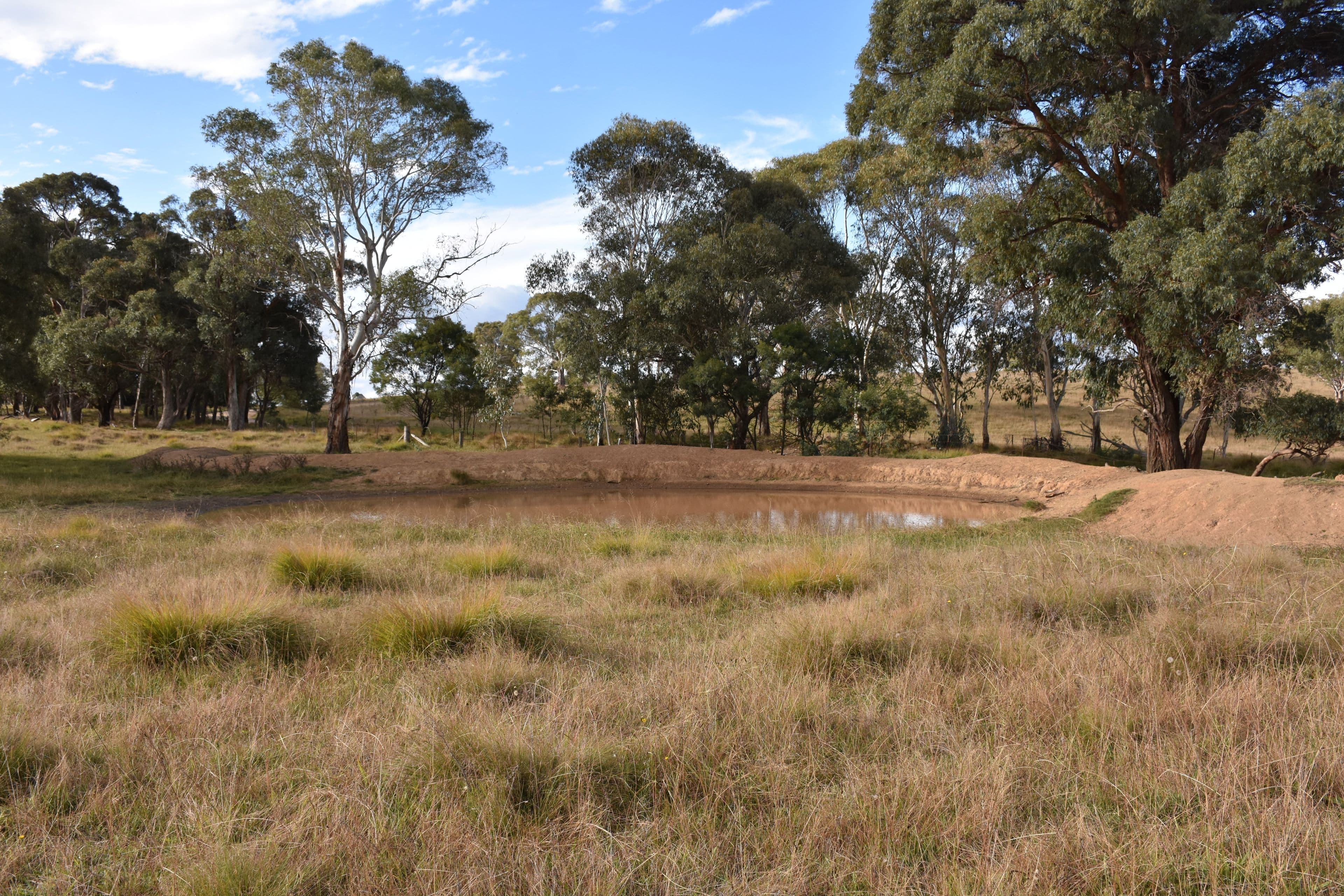 0 Donnelly's, Glen Innes NSW 2370, Glen Innes - Thumbnail 3