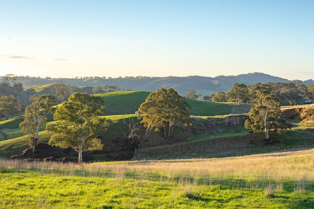 123 O'Dea Road, KENTON VALLEY SA 5233, Kenton Valley - Thumbnail 4