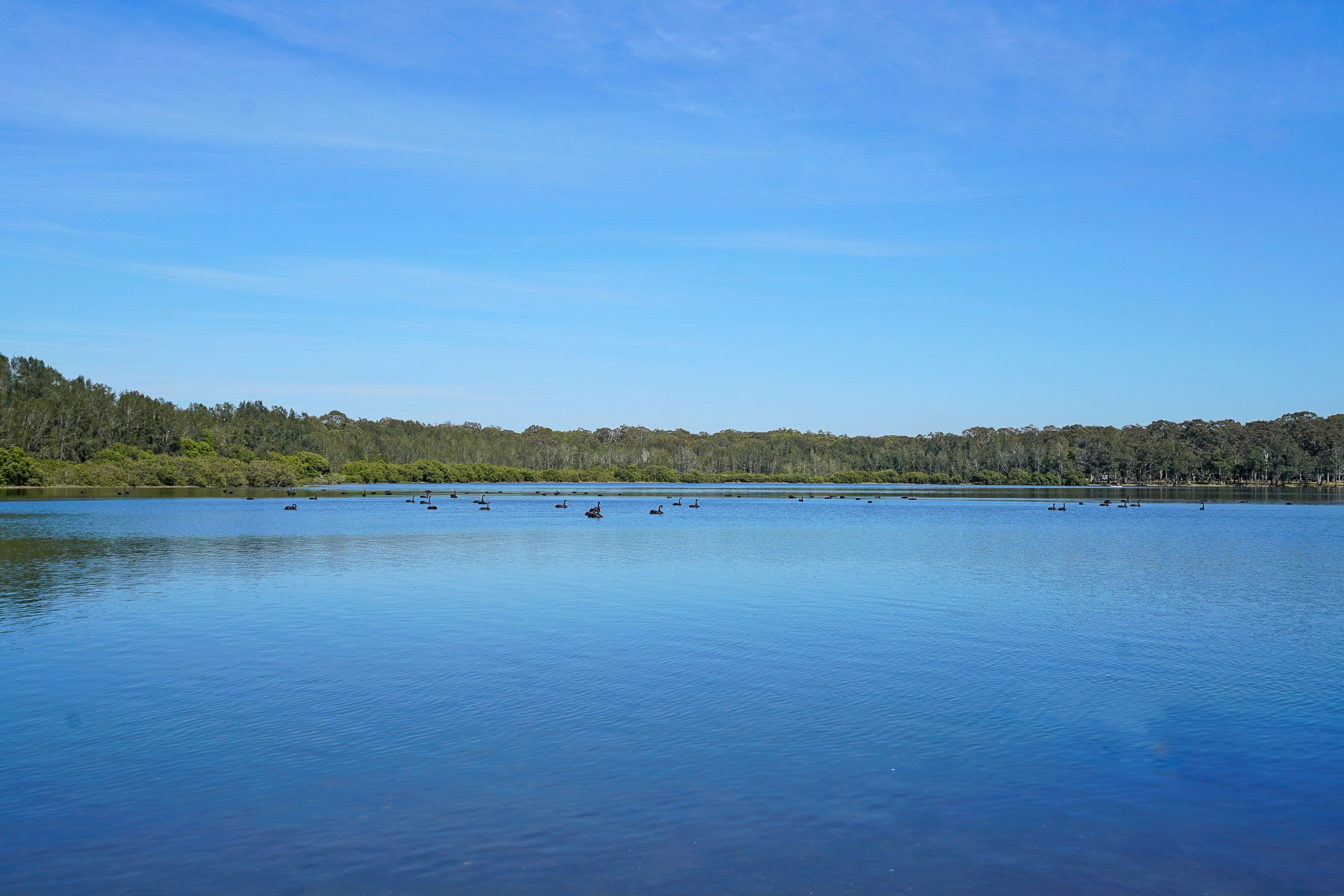 32 William Street, Bonnells Bay NSW 2264, Bonnells Bay - Thumbnail 4