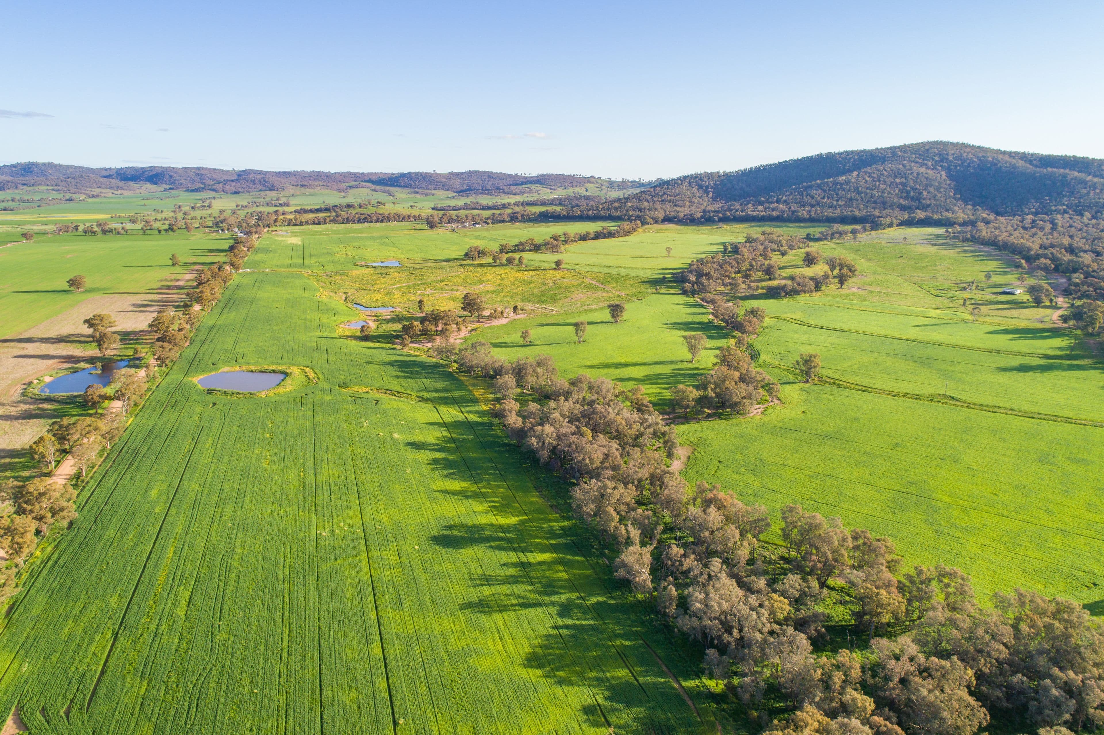 'Valley of Springs South' Tallarook Road, Cowra NSW 2794, Cowra - Image 1