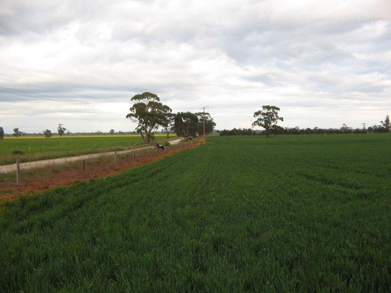 Lot 275 Pitcher Lane, Bordertown SA 5268, Bordertown - Thumbnail 5