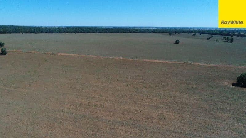 The Ranch Grassmere Road, CONDOBOLIN NSW 2877, Condobolin - Image 1