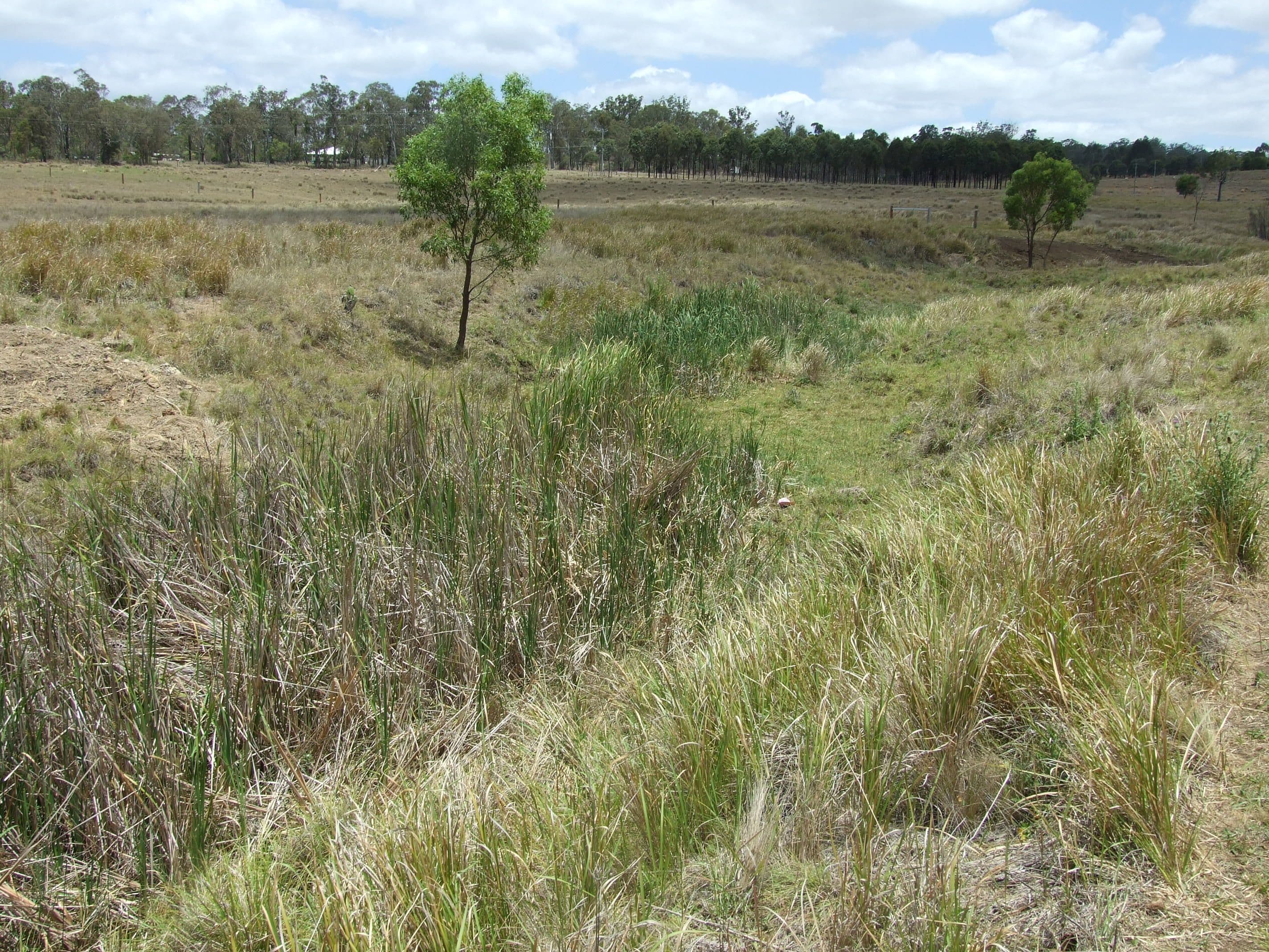 7716 New England Highway, Crows Nest QLD 4355, Crows Nest - Thumbnail 2