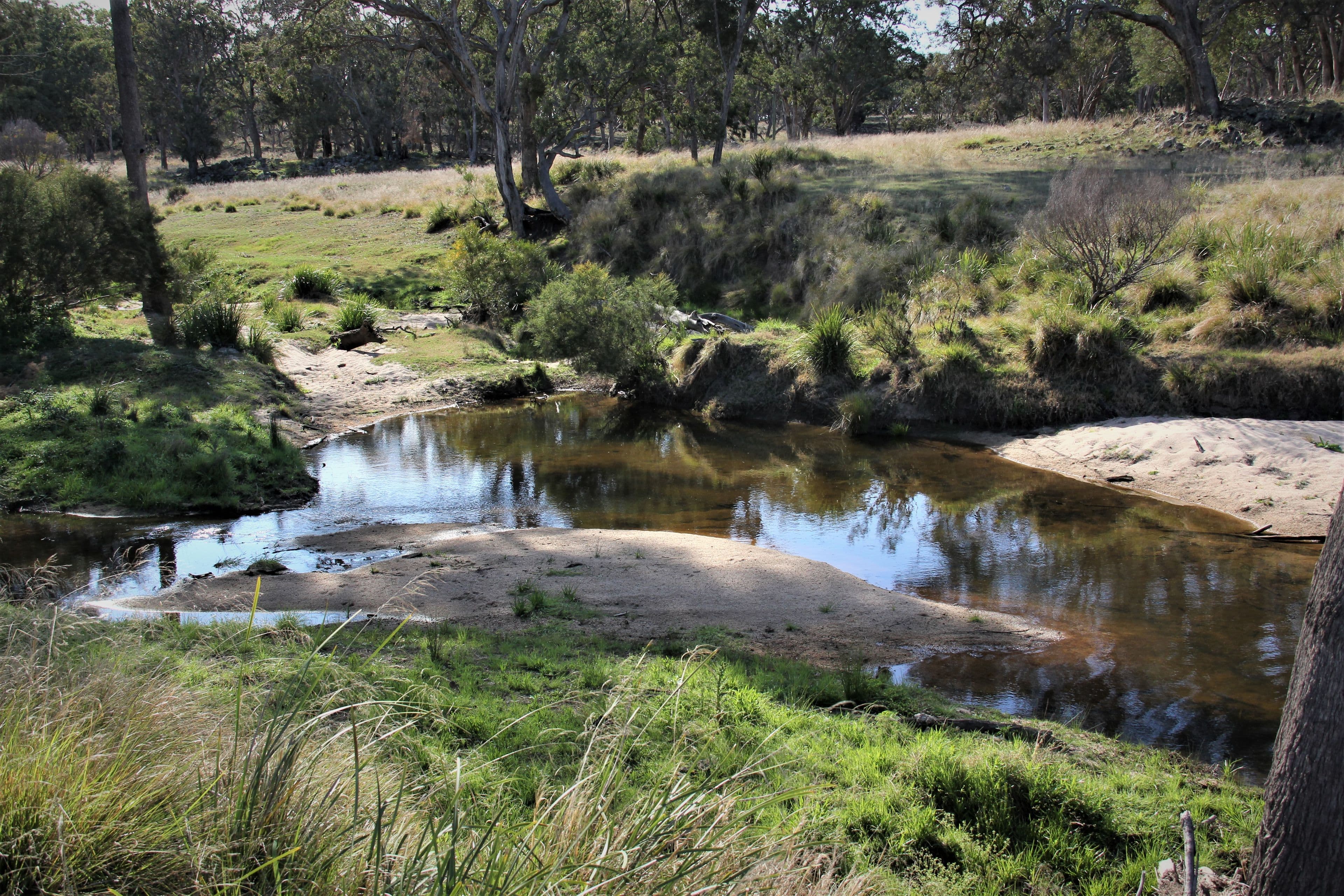 214 Tarban Loop Road, Tenterfield NSW 2372, Tenterfield - Thumbnail 6